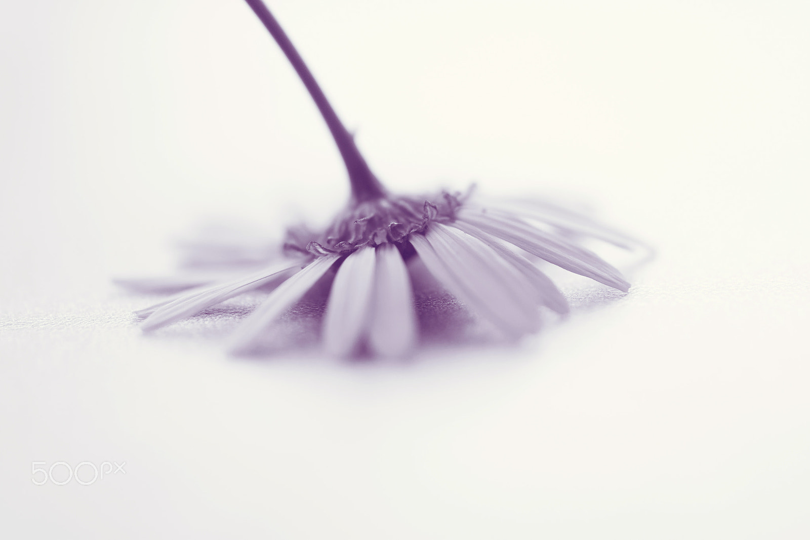 Samsung NX 60mm F2.8 Macro ED OIS SSA sample photo. Ballet photography