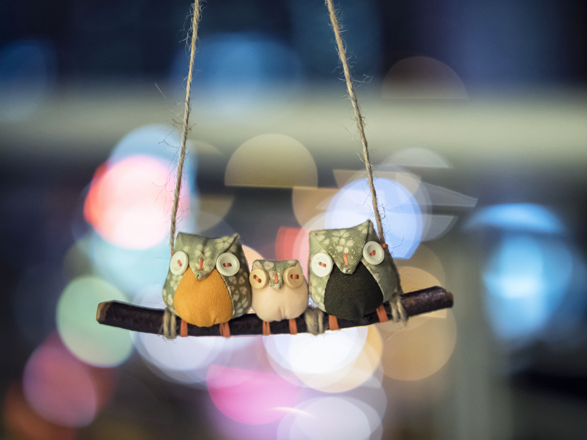 Panasonic Leica DG Nocticron 42.5mm F1.2 ASPH OIS sample photo. Little owl's (bokeh) photography