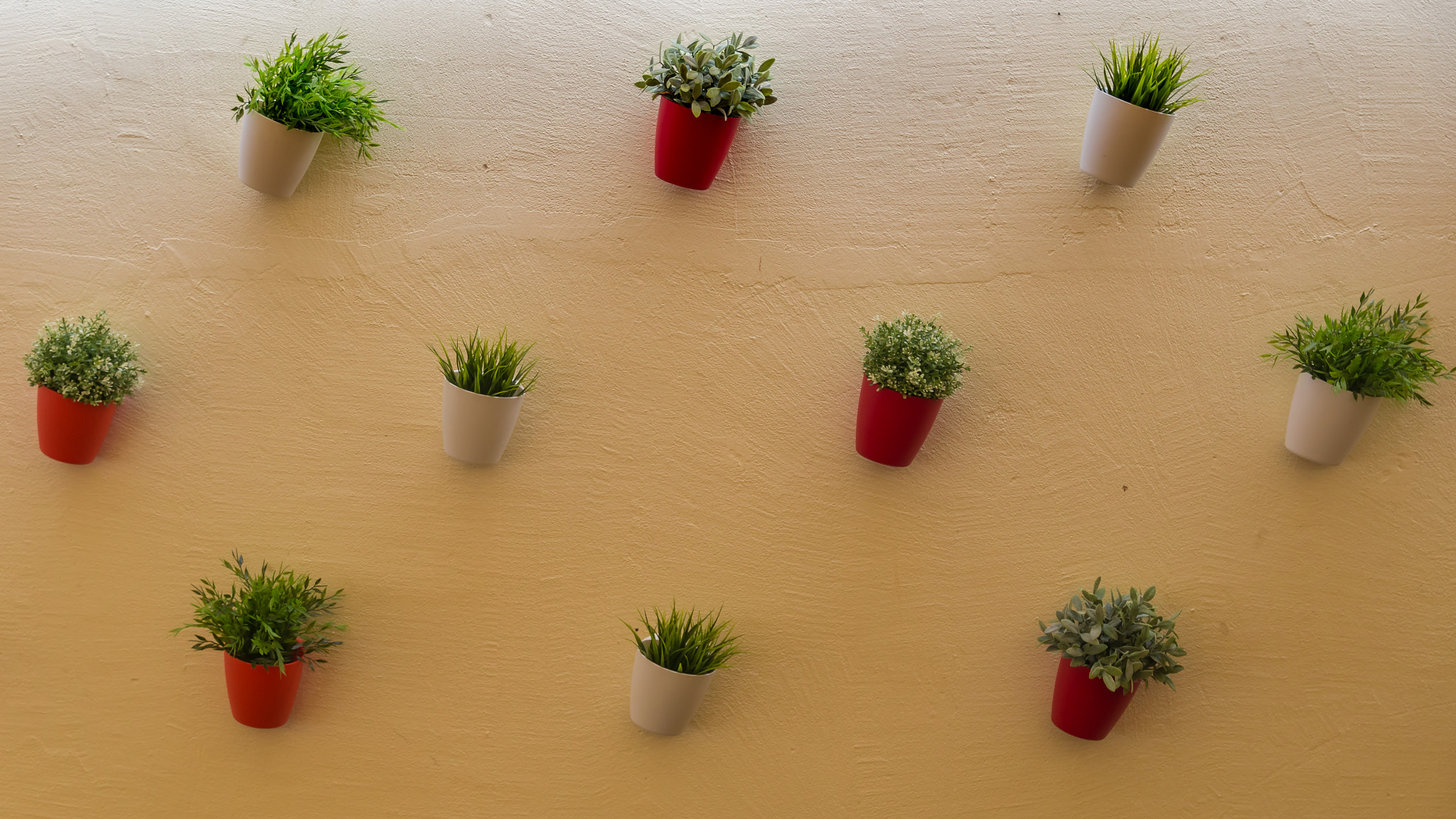 Sony SLT-A55 (SLT-A55V) + Sigma 17-70mm F2.8-4 DC Macro HSM sample photo. Plants in pots photography