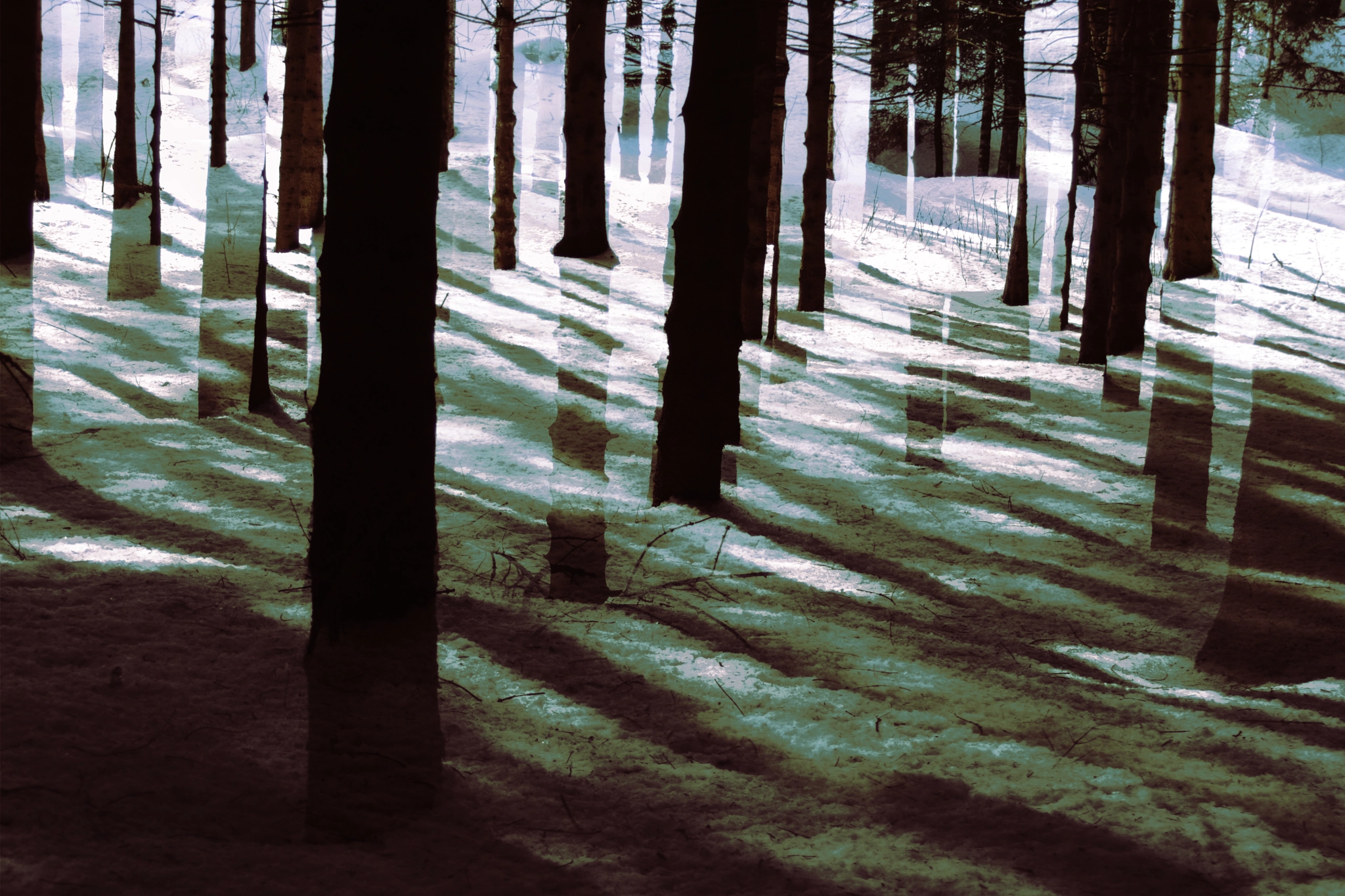 Canon EF 35-80mm f/4-5.6 sample photo. I lost my mind in the woods photography