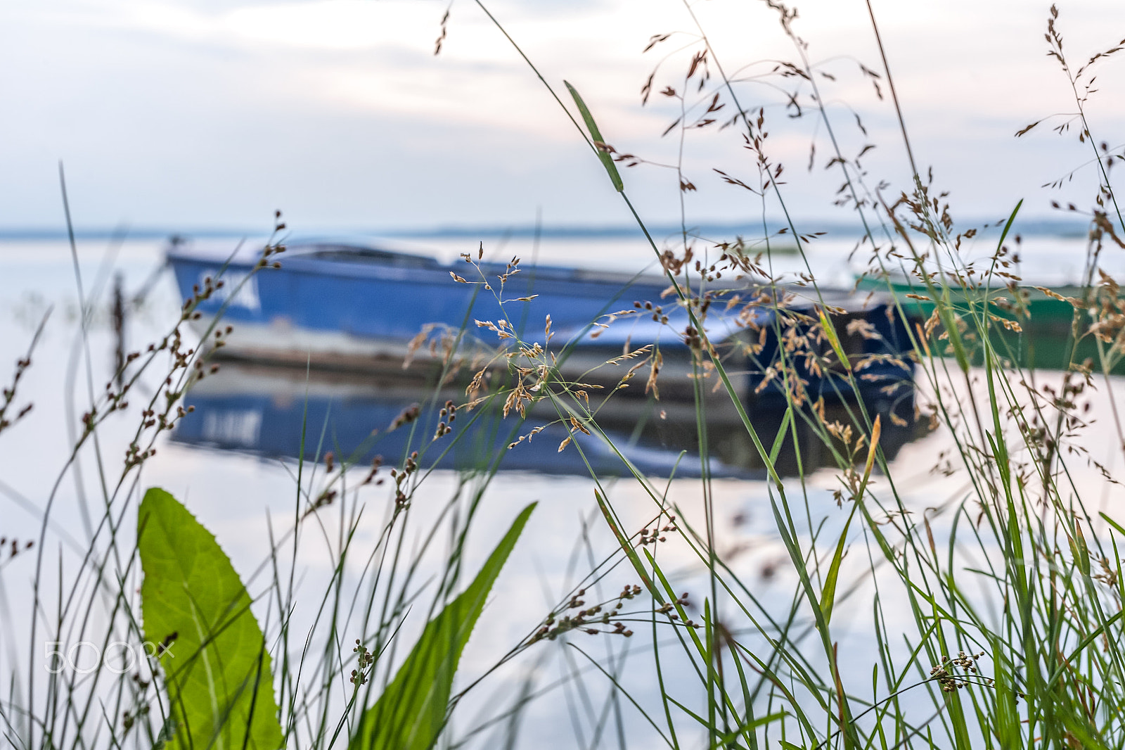 Canon EOS 5D + Canon EF 50mm F1.8 II sample photo. Grass on the bank photography
