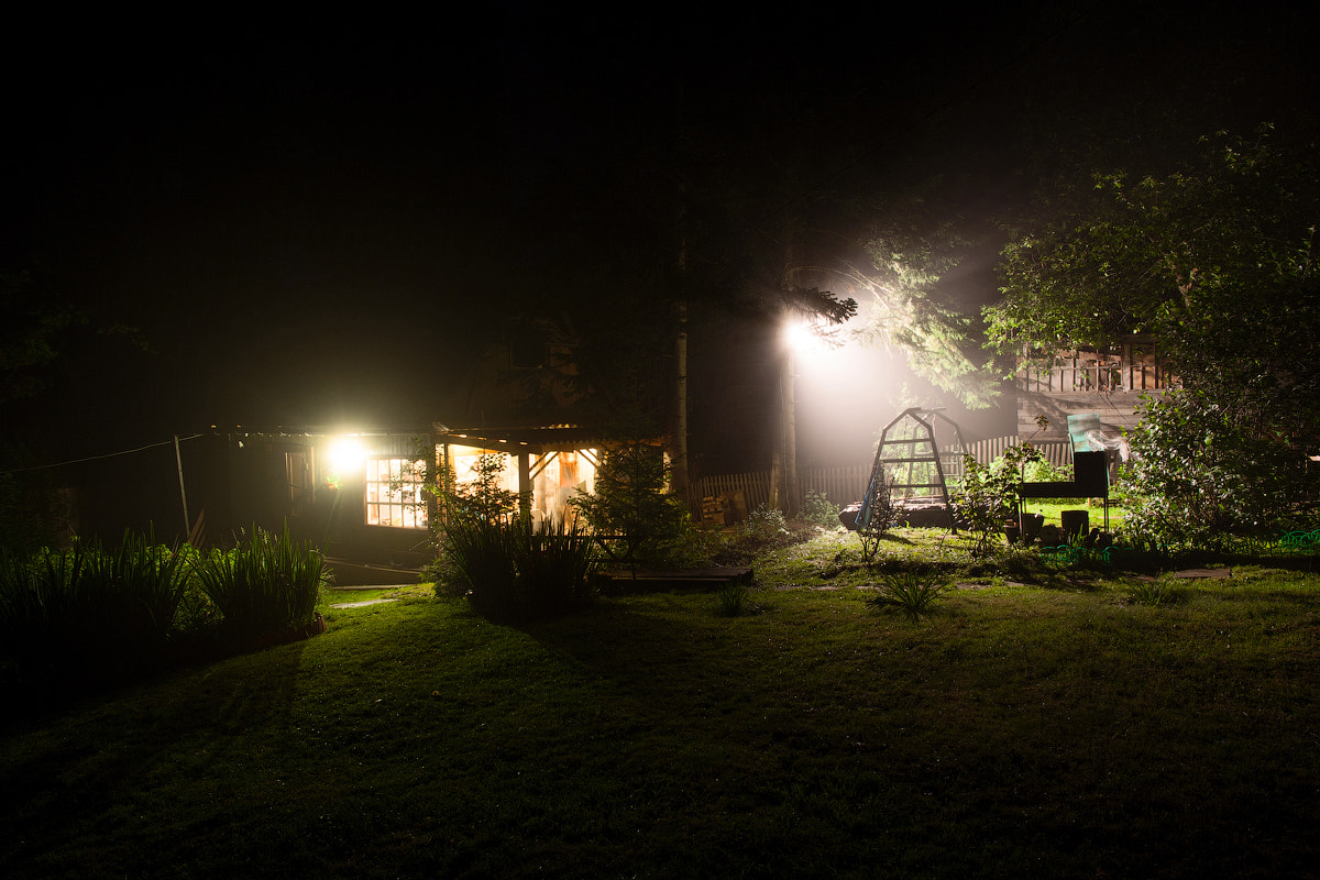 Canon EOS-1Ds Mark II sample photo. Evening mist photography
