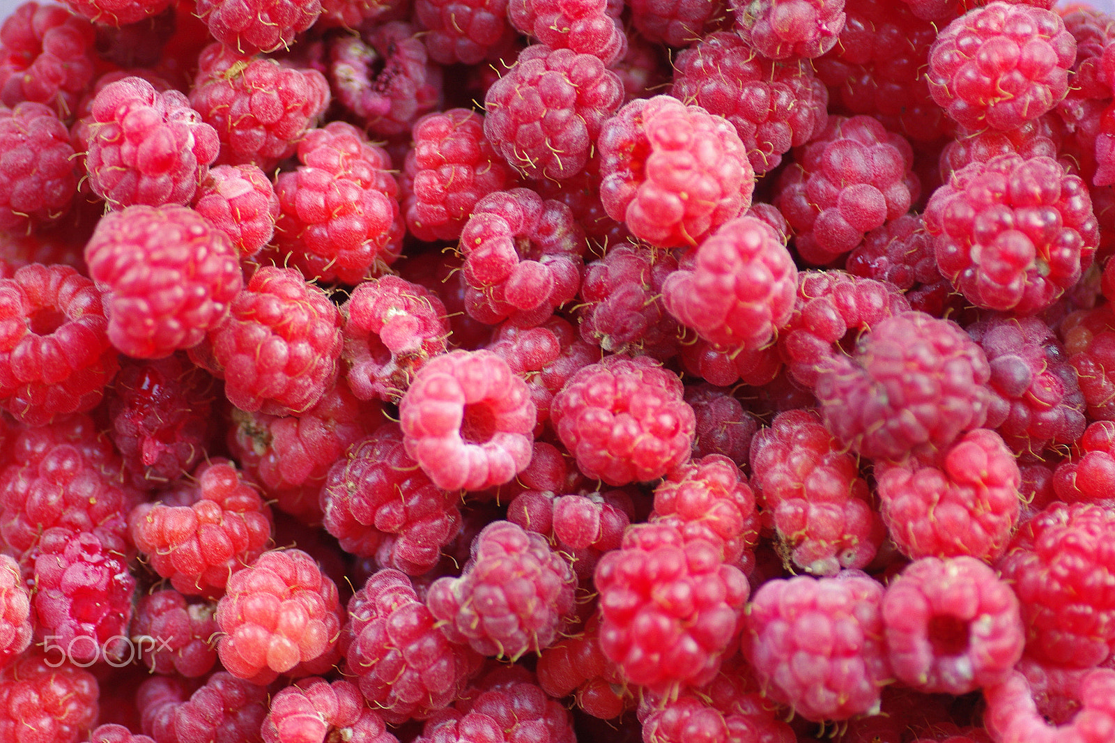 Pentax K200D sample photo. Raspberries photography
