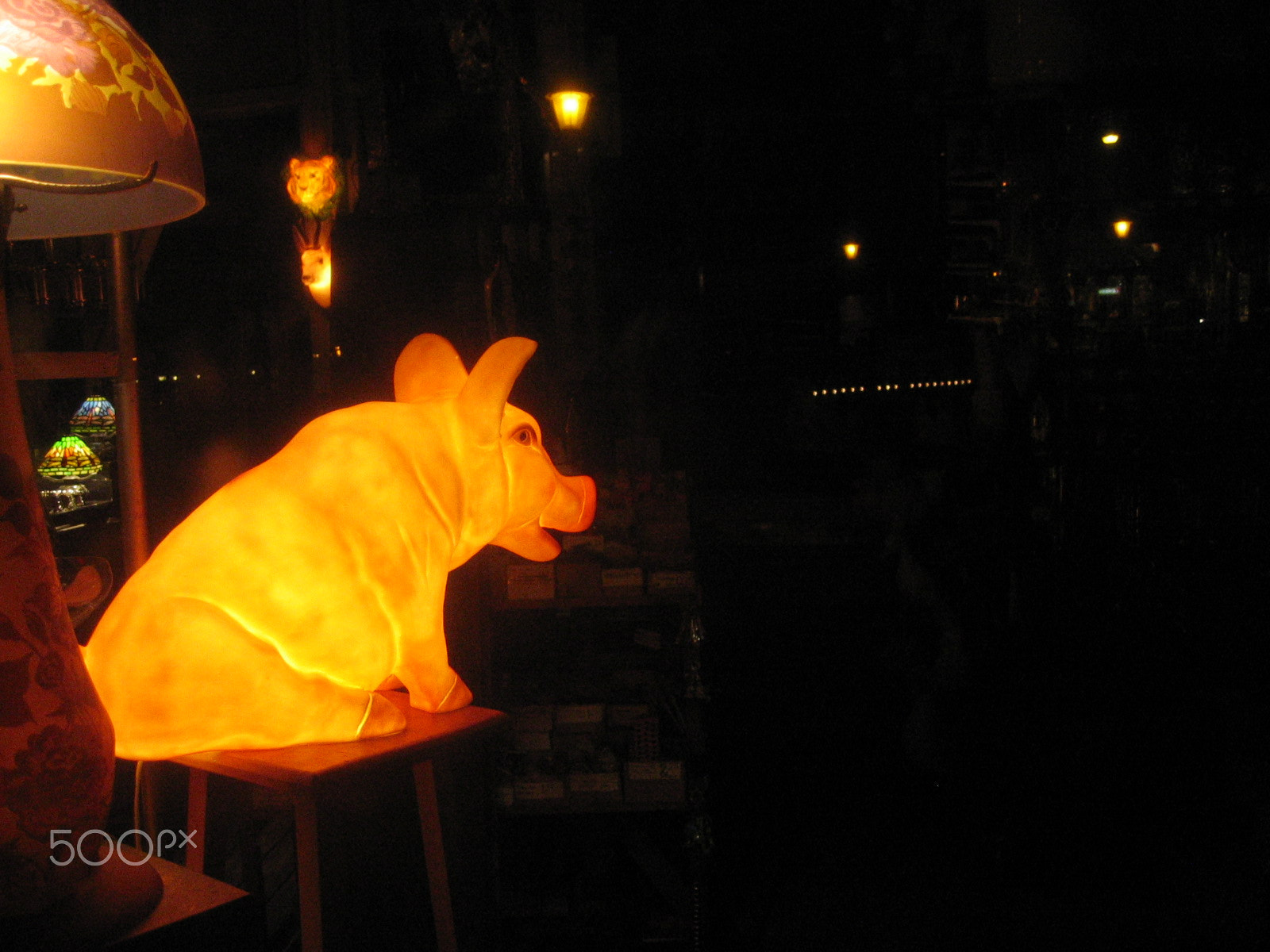 Canon DIGITAL IXUS 400 sample photo. This little piggy photography