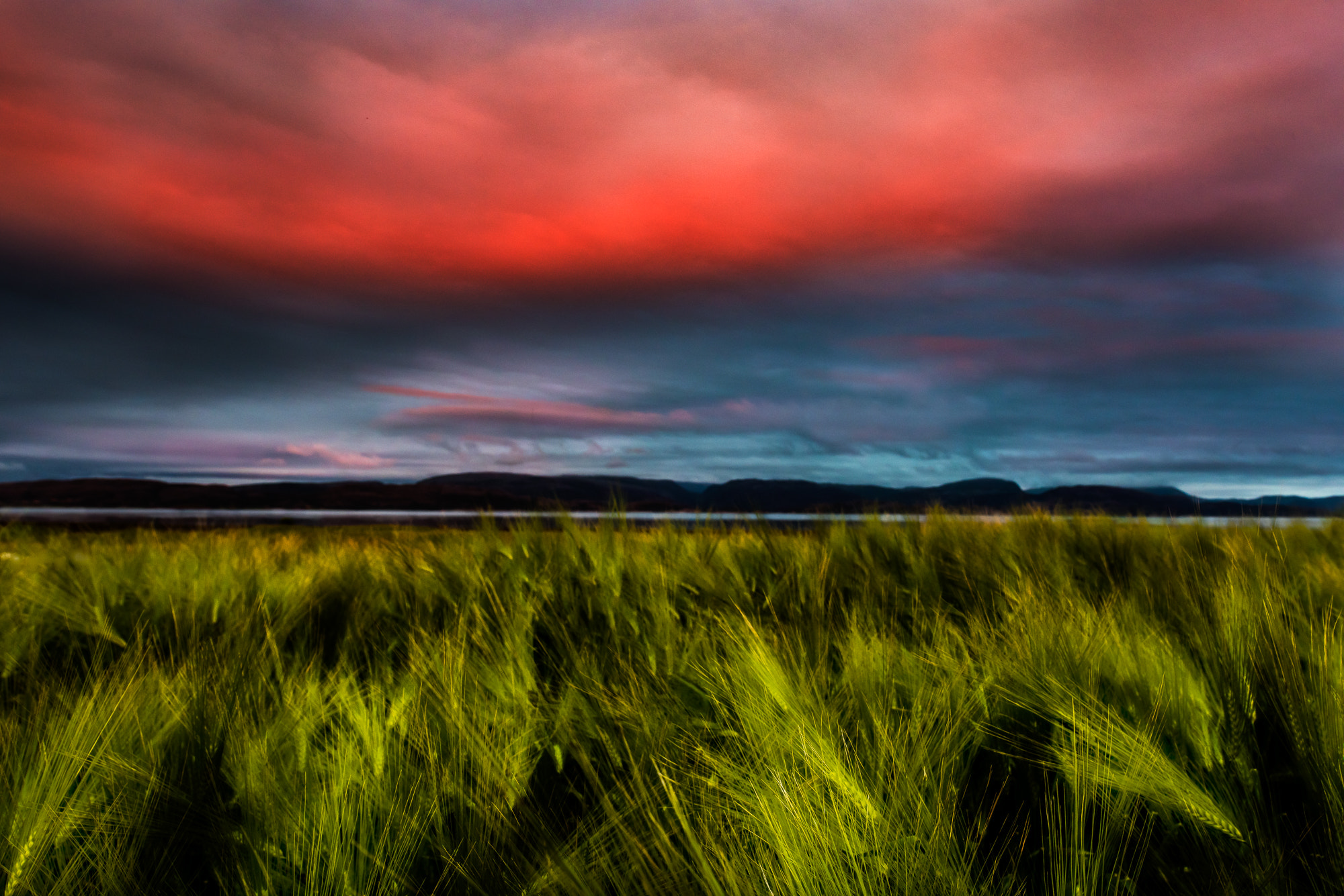 Nikon D810 + Nikon PC-E Nikkor 24mm F3.5D ED Tilt-Shift sample photo. Rgb photography