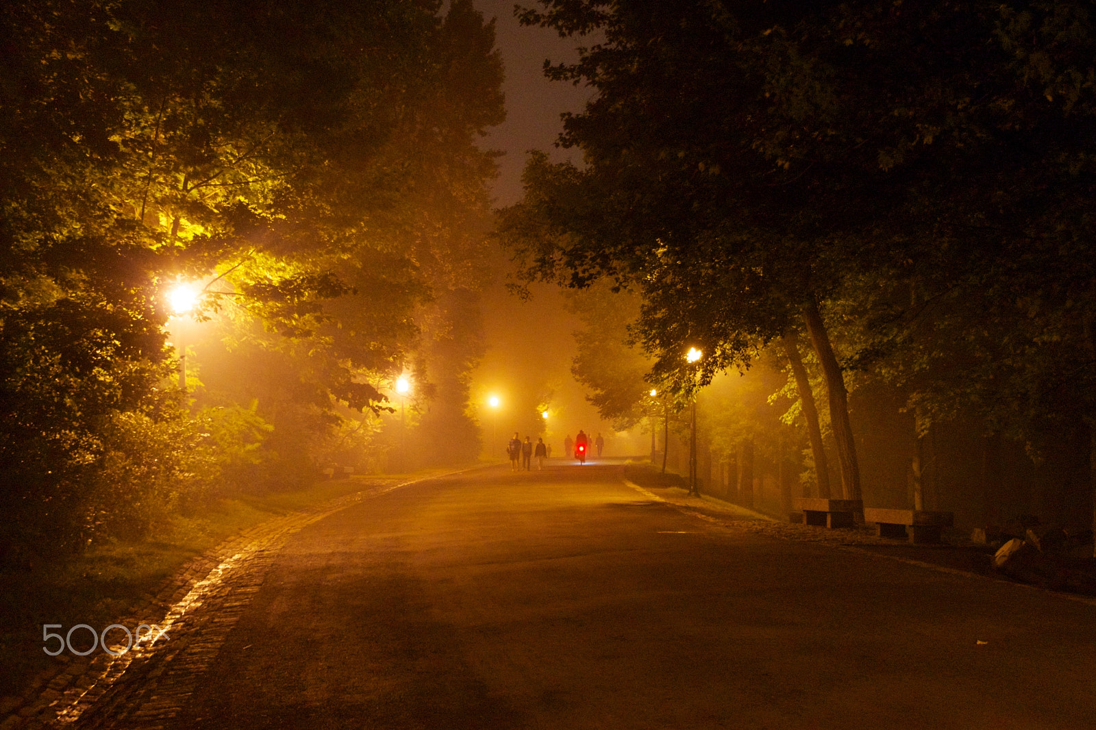 Tamron 18-270mm F3.5-6.3 Di II PZD sample photo. Mont-royal de nuit photography