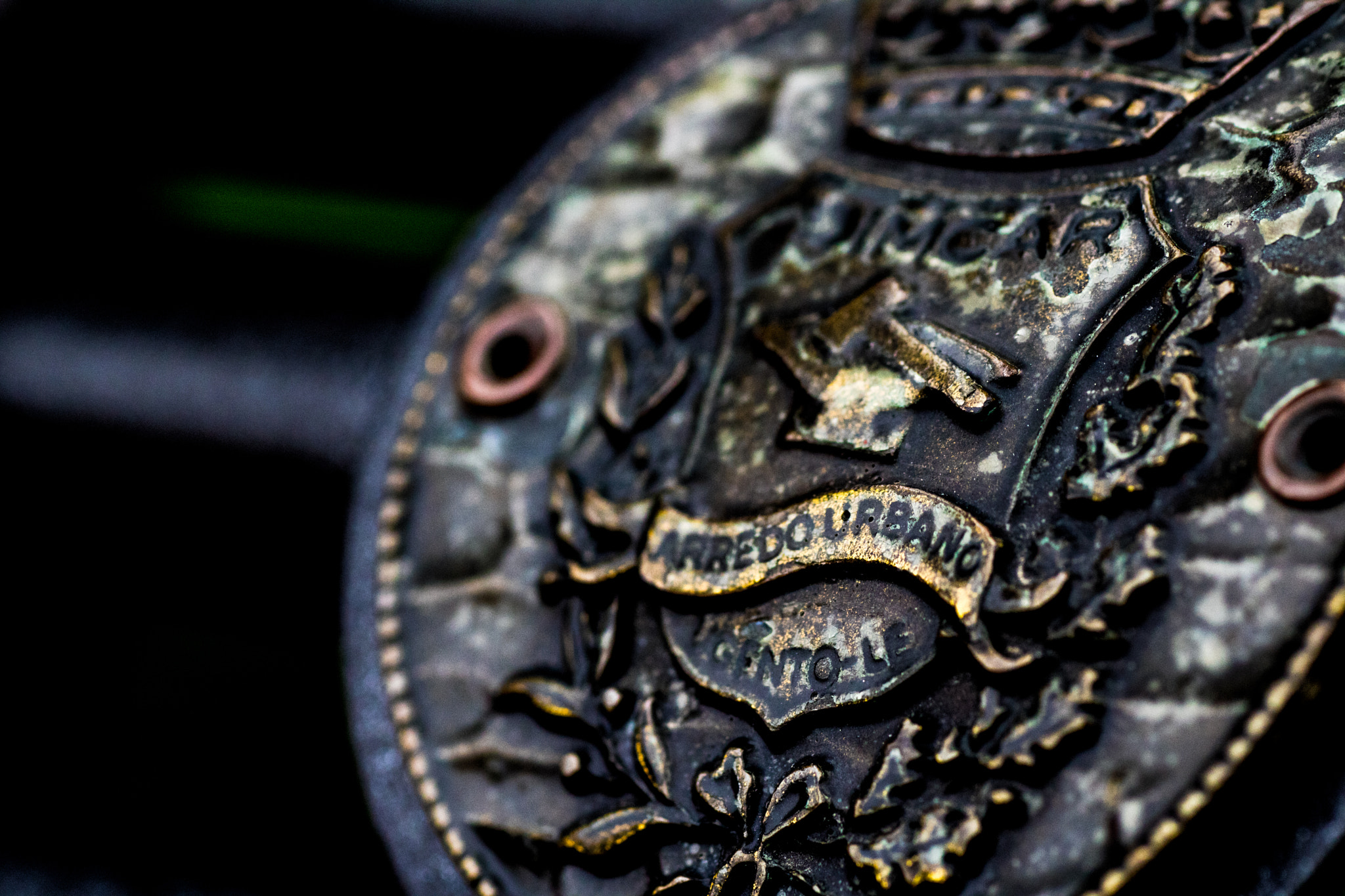 Tamron SP AF 90mm F2.8 Di Macro sample photo. Shild... photography