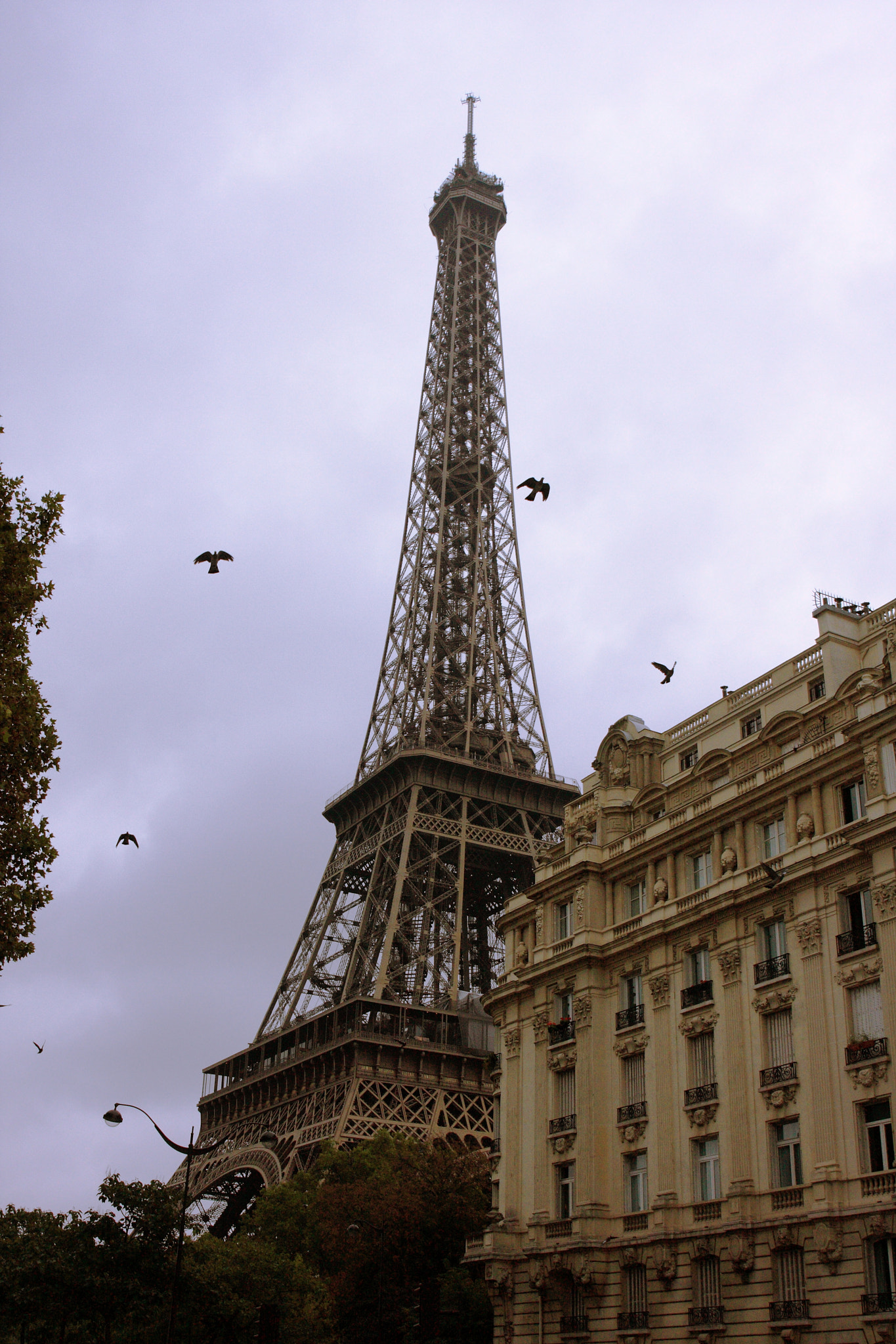 Canon EOS 40D + Canon EF 24-70mm F4L IS USM sample photo. Tower eiffel photography