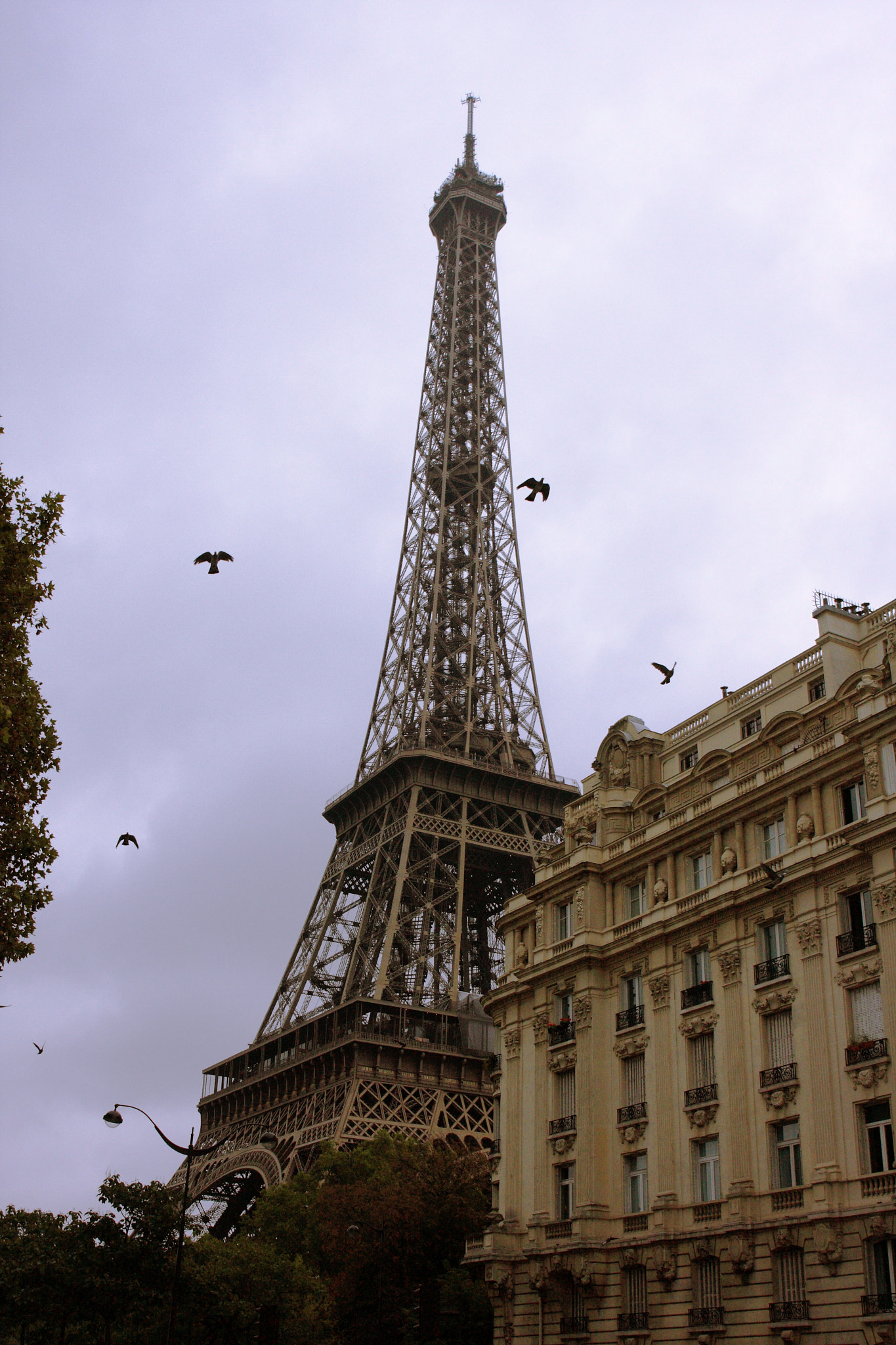 Canon EF 24-70mm F4L IS USM sample photo. Tower eiffel photography