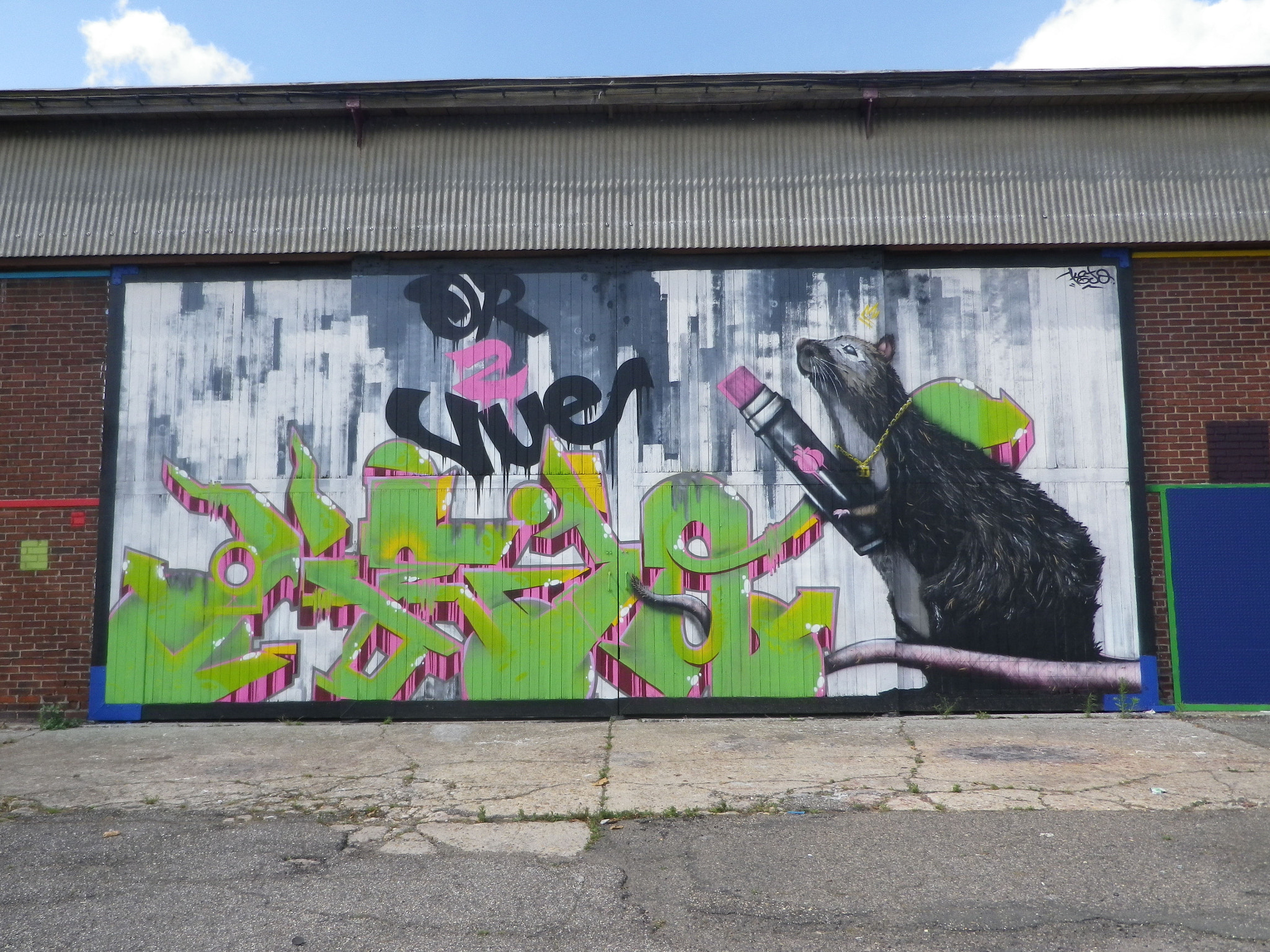 Pentax Optio RZ18 sample photo. Graff photography