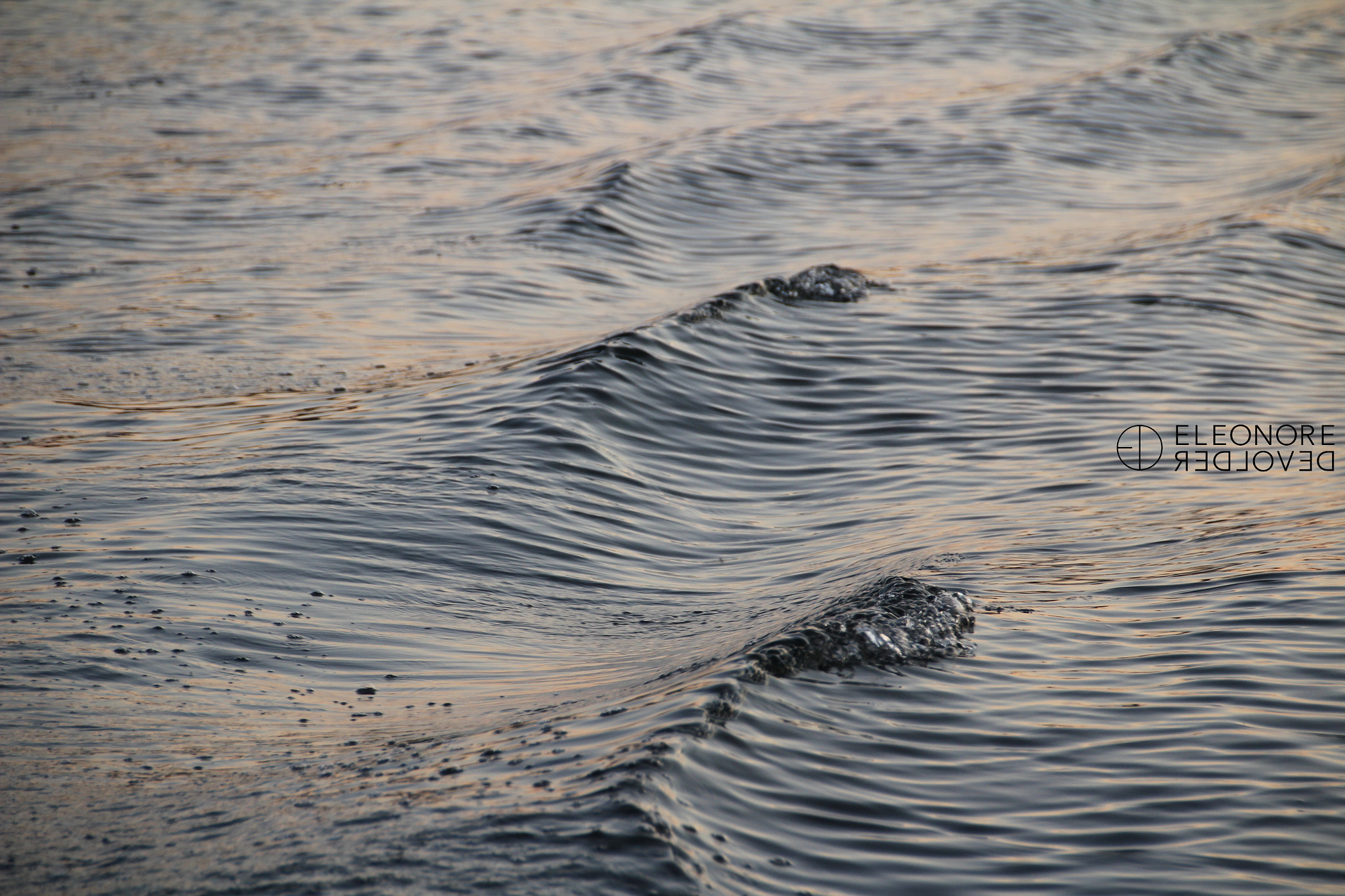Sigma 18-250mm F3.5-6.3 DC OS HSM sample photo. Waves from sweden photography