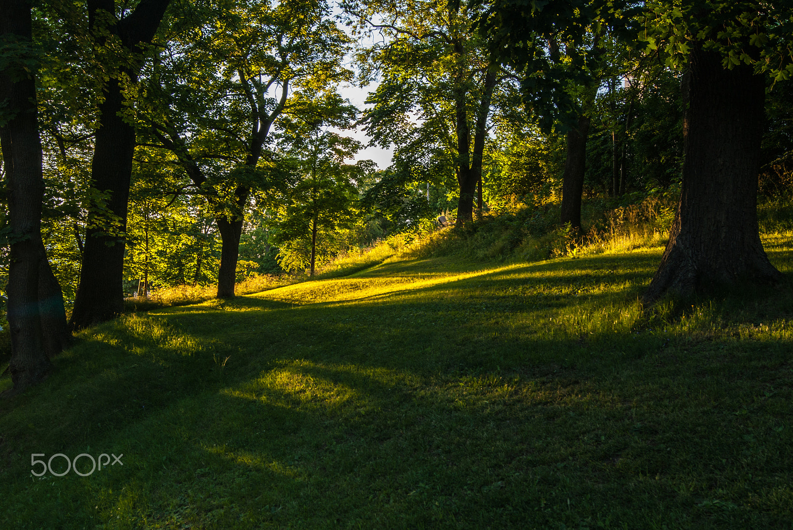 Sony Alpha DSLR-A230 + Sony DT 18-55mm F3.5-5.6 SAM sample photo. 22:00 sunset in stockolm photography