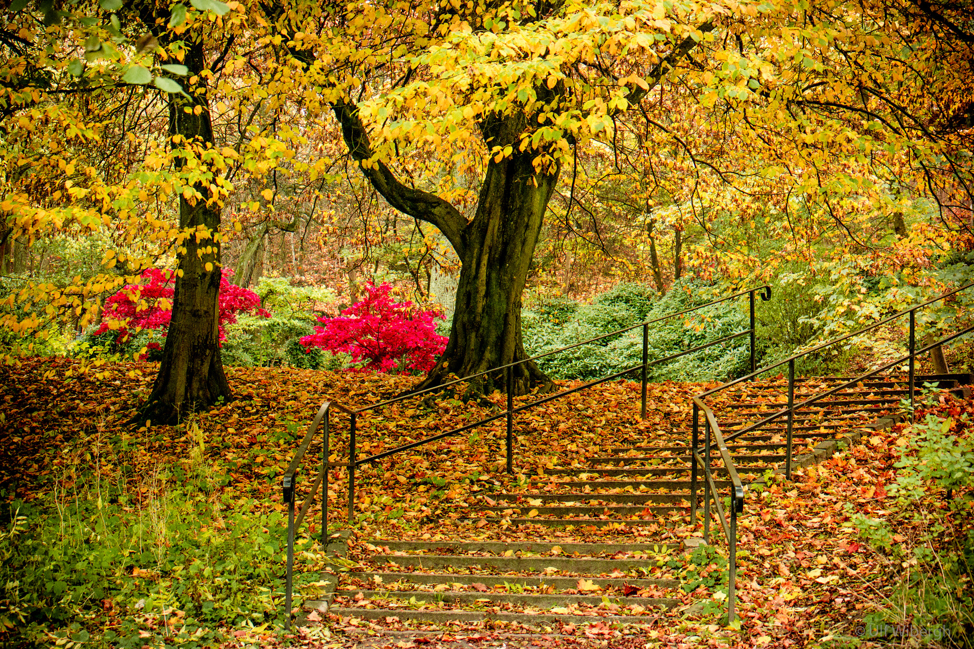 Samsung NX300 + Samsung NX 50-200mm F4-5.6 ED OIS sample photo. Late autumn 2015 photography