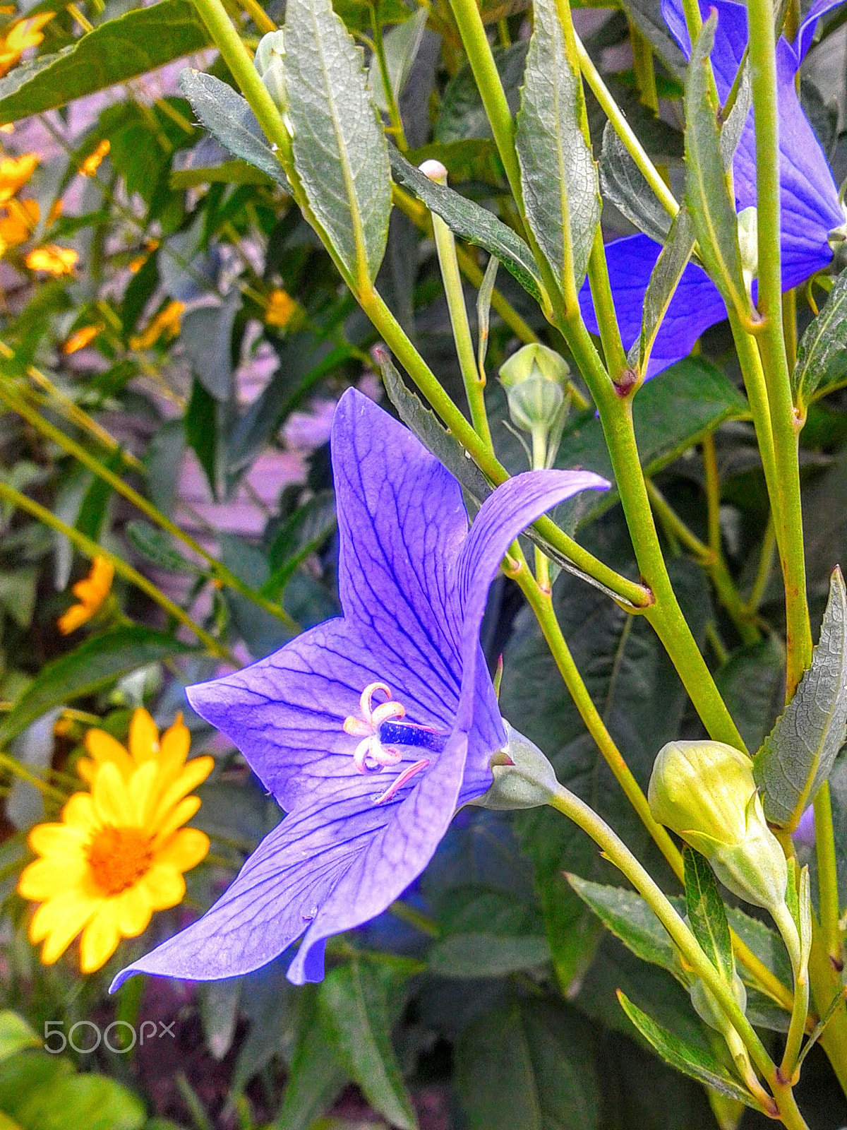Samsung GT-S5610 sample photo. Фото photography