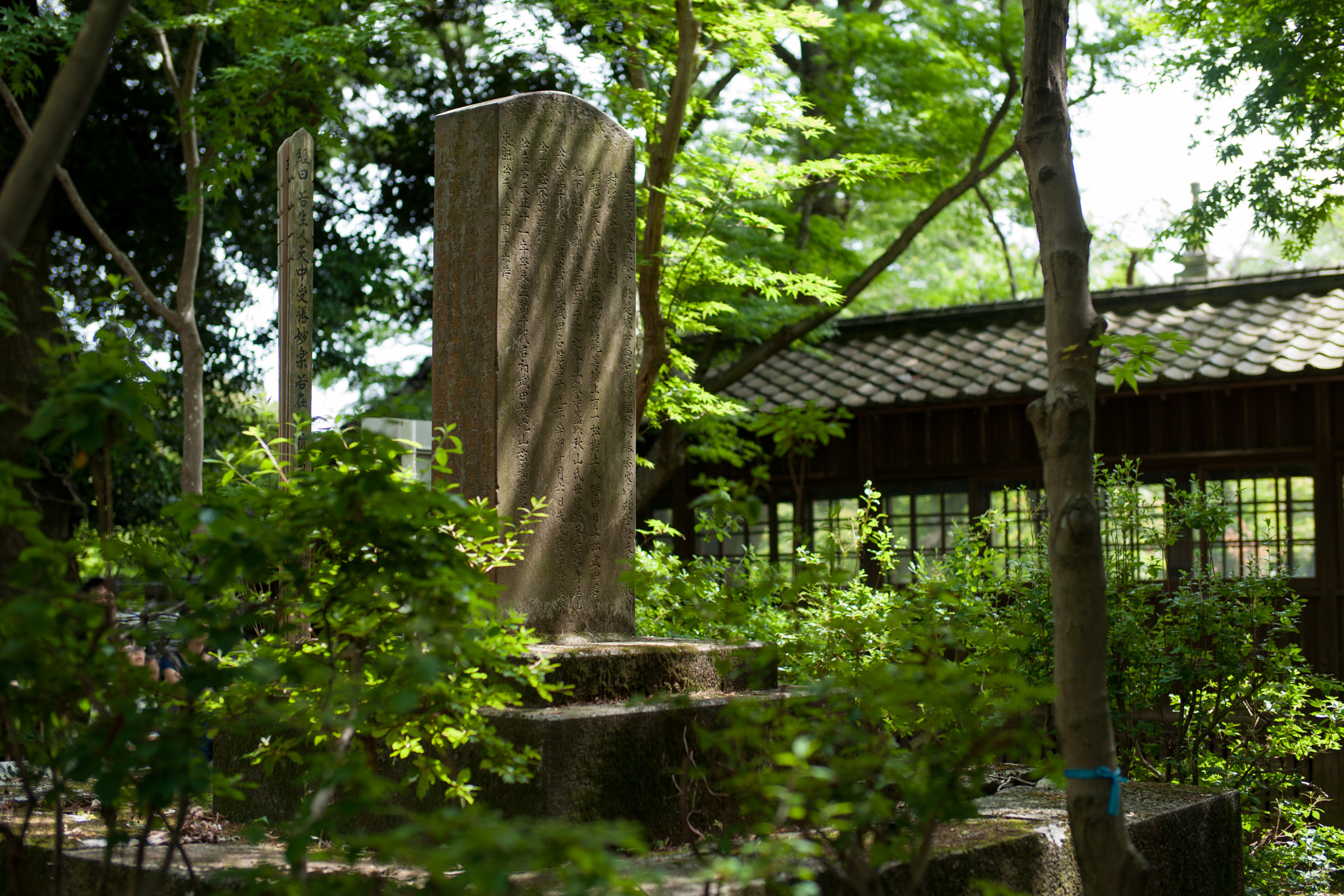 Sony Planar T* 50mm F1.4 ZA SSM sample photo. Hondoji temple photography