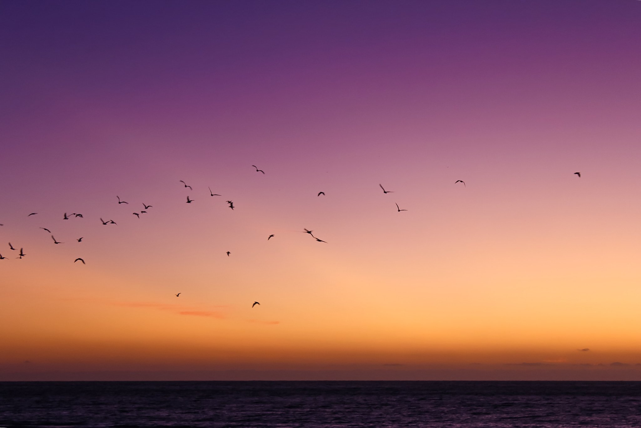 Canon EF-S 18-55mm F3.5-5.6 III sample photo. #southaustralia photography