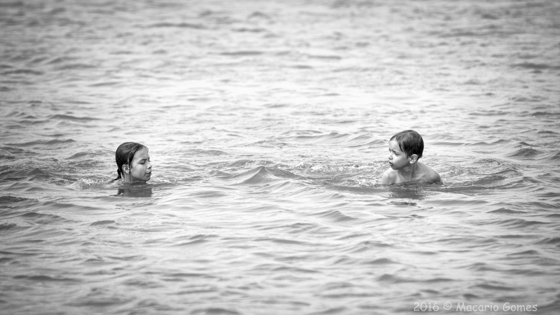 Pentax K-7 sample photo. Seals photography
