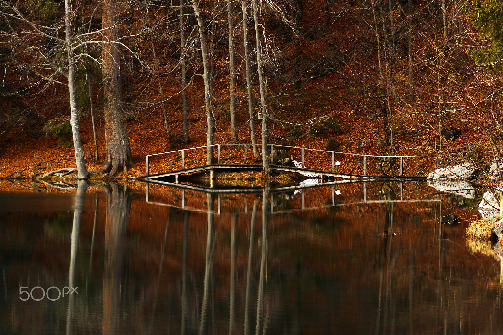 Canon EF 90-300mm F4.5-5.6 sample photo. Autumn reflection photography