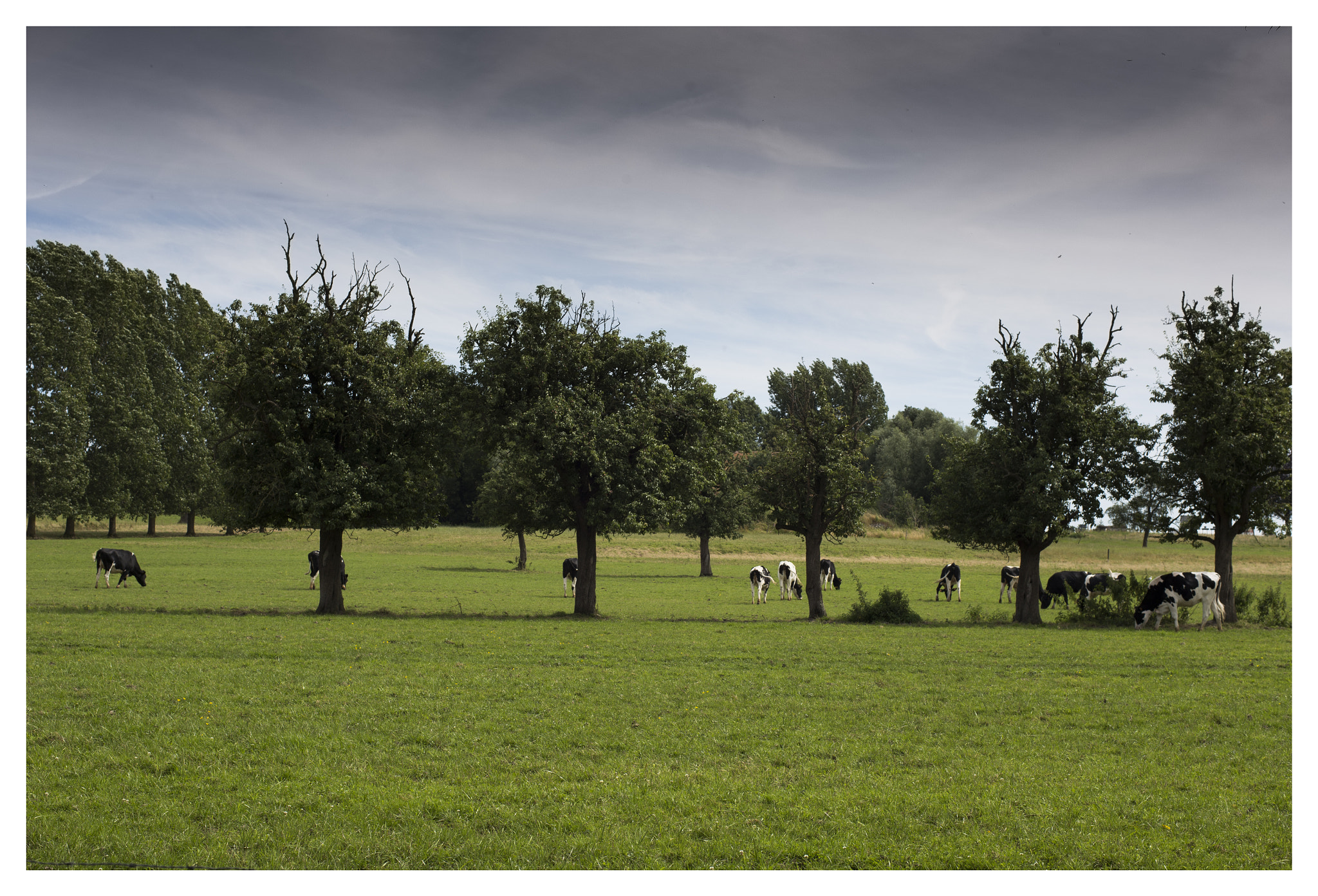 ZEISS Planar T* 50mm F1.4 sample photo. Vlaams landschap photography