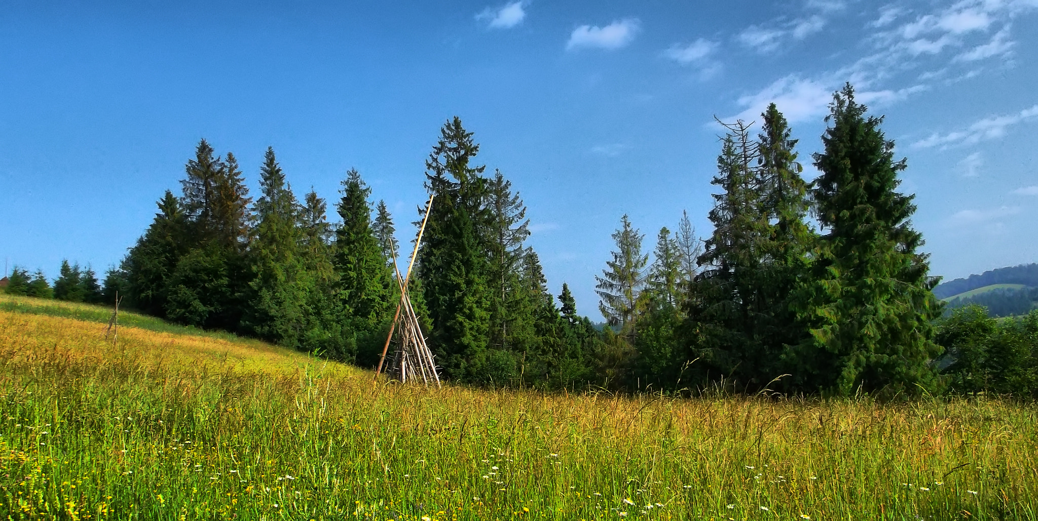 Fujifilm FinePix AX500 sample photo. Ukraine, carpathians mountains photography