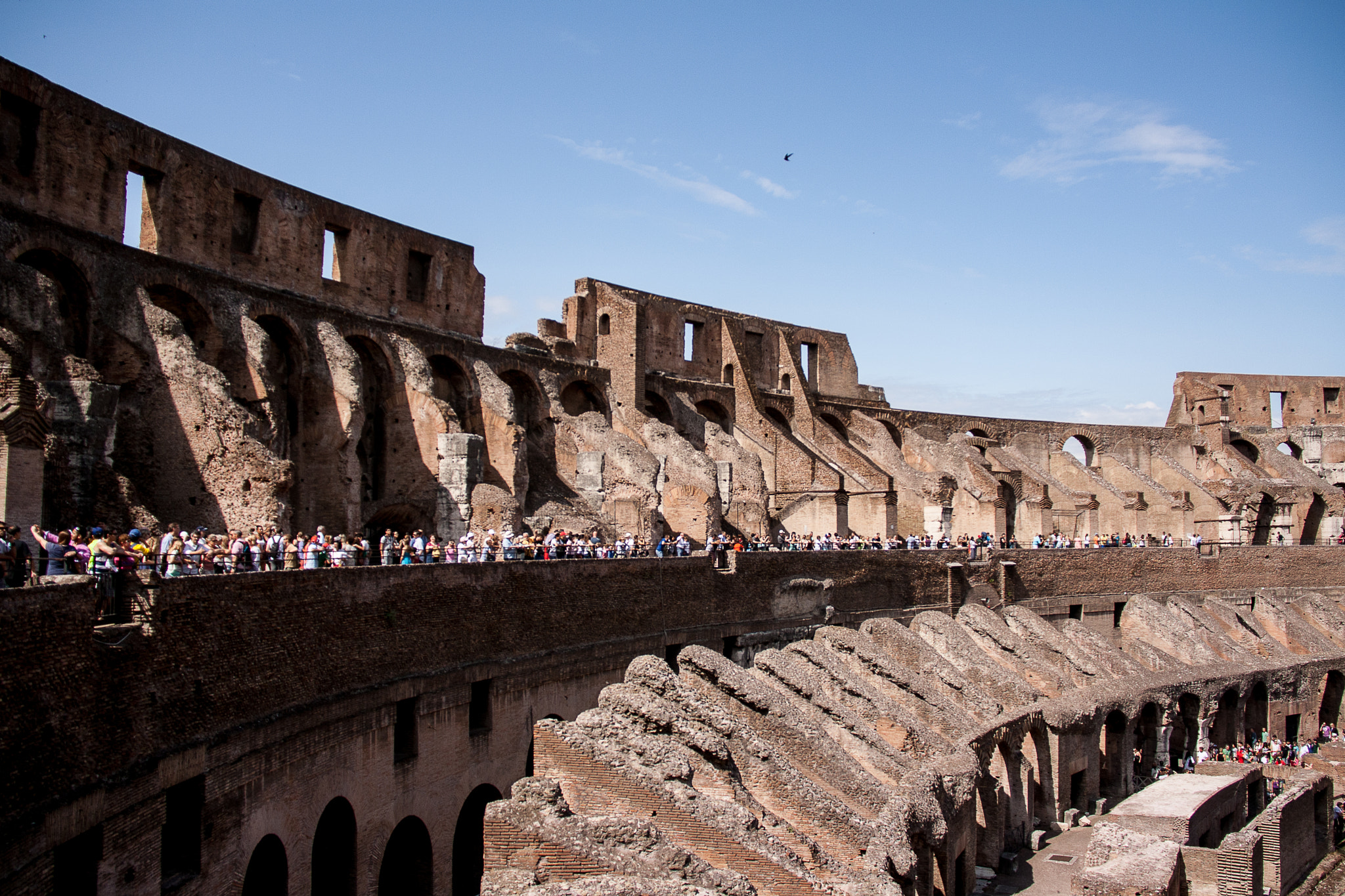 Canon EOS 1000D (EOS Digital Rebel XS / EOS Kiss F) sample photo. Coliseum #1 photography