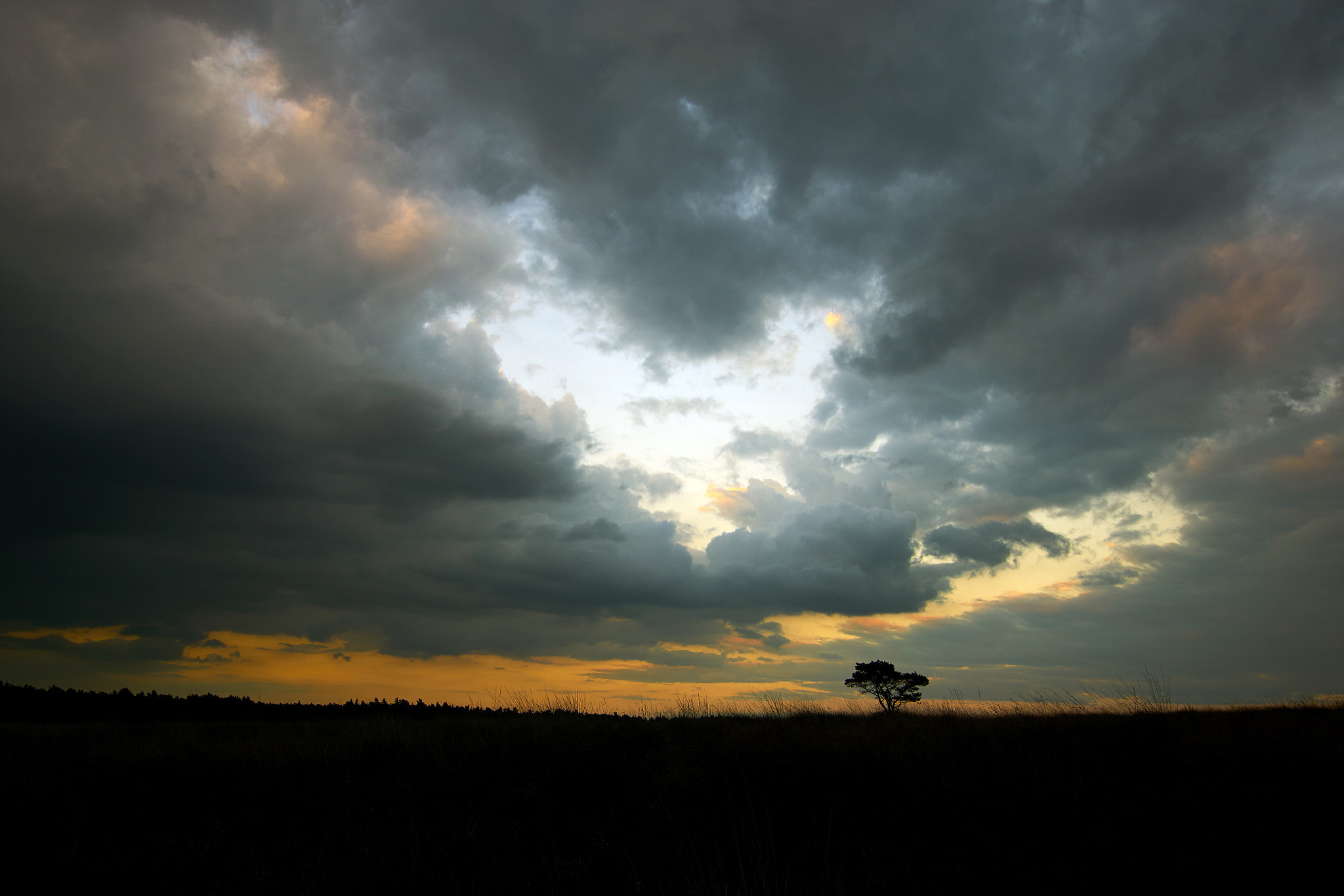 Sony ILCA-77M2 + 10-20mm F3.5 sample photo. Dark clouds over a lonely tree photography