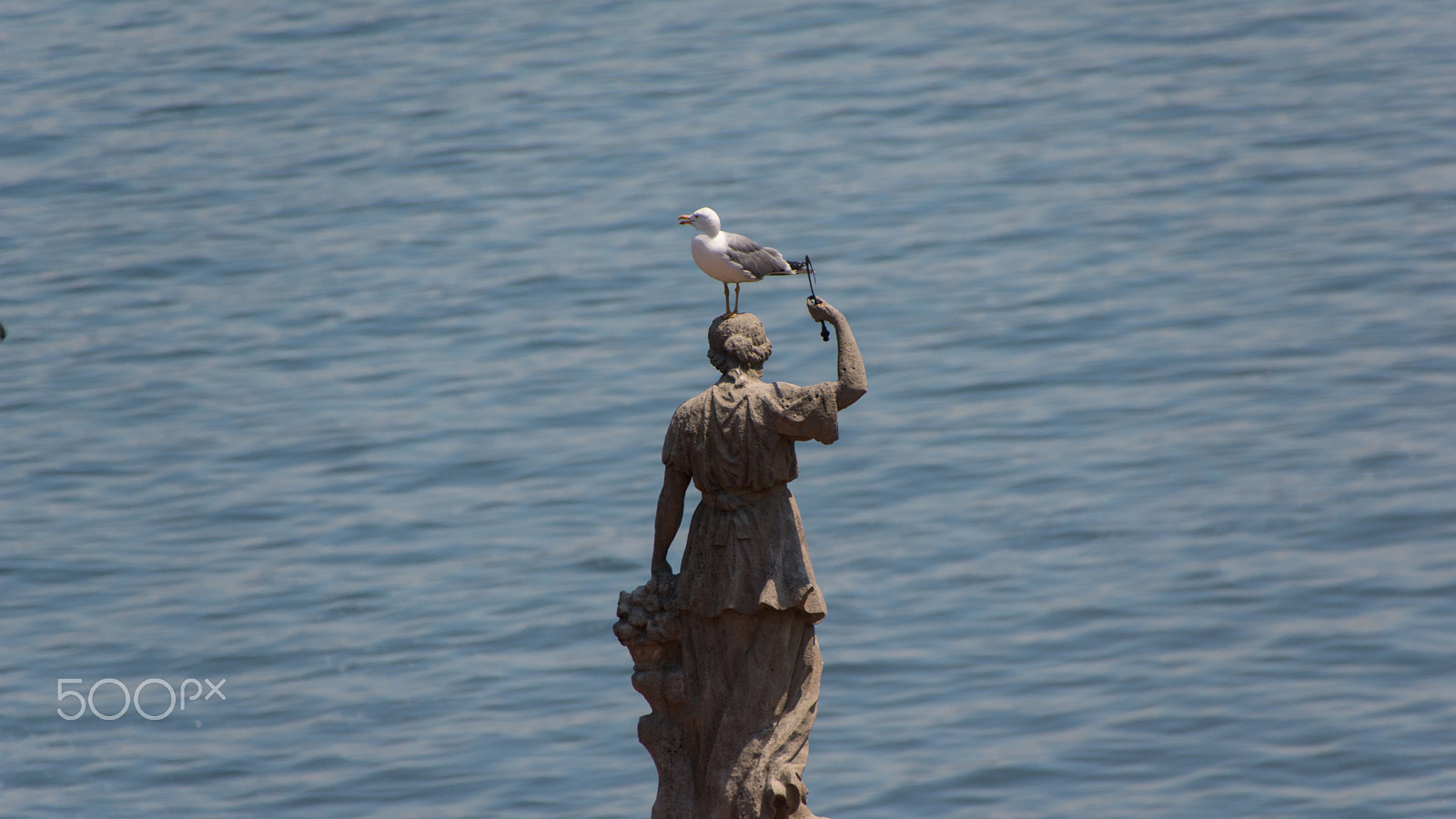 Sony SLT-A65 (SLT-A65V) + Sigma 18-250mm F3.5-6.3 DC OS HSM sample photo. Get off !! photography