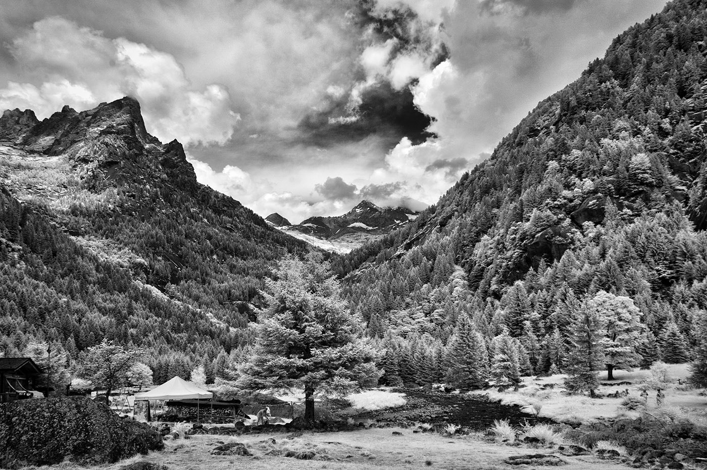 Nikon D70s sample photo. Val di mello photography