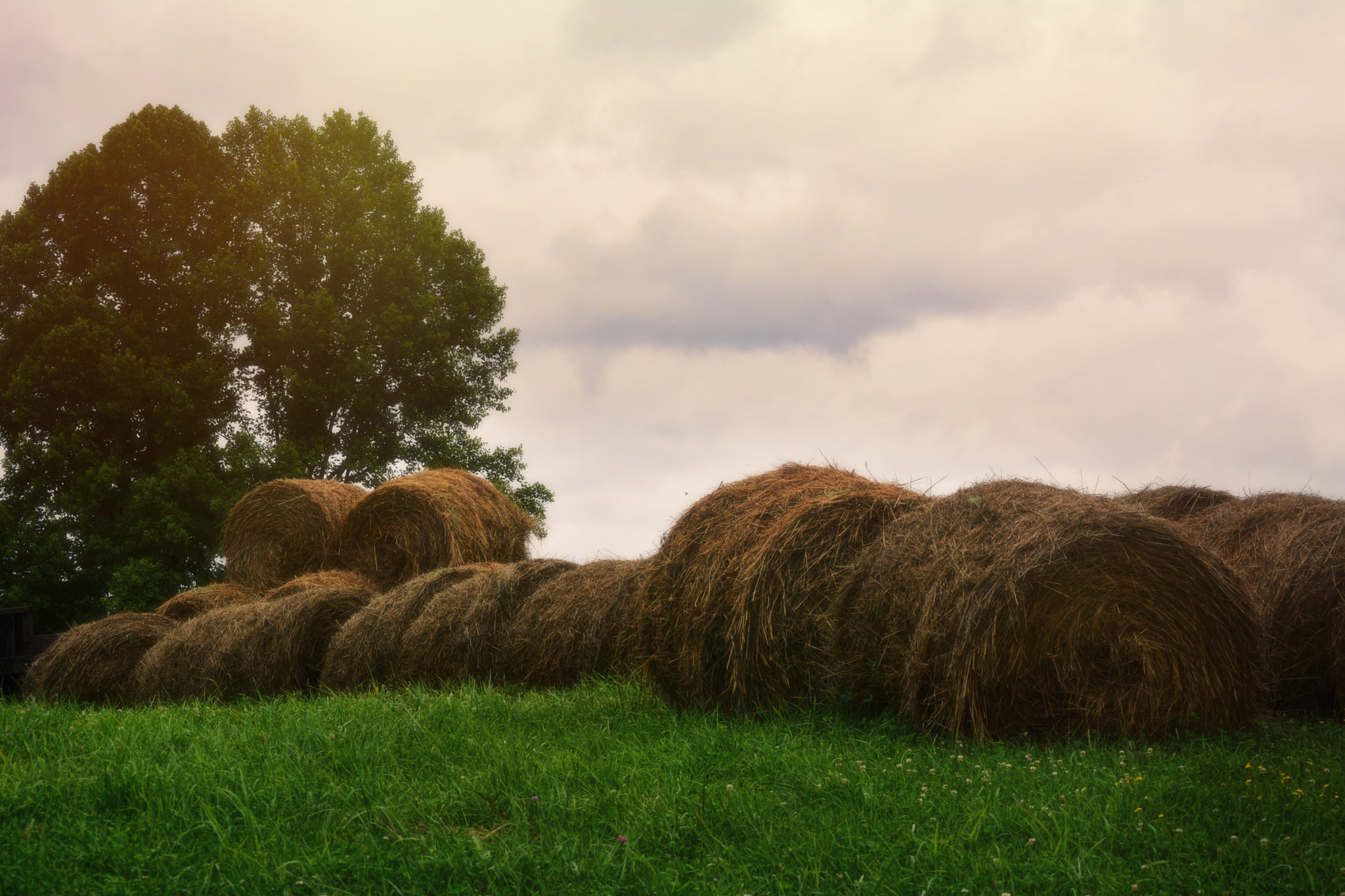 Nikon AF-S Nikkor 17-35mm F2.8D ED-IF sample photo. Webster county photography