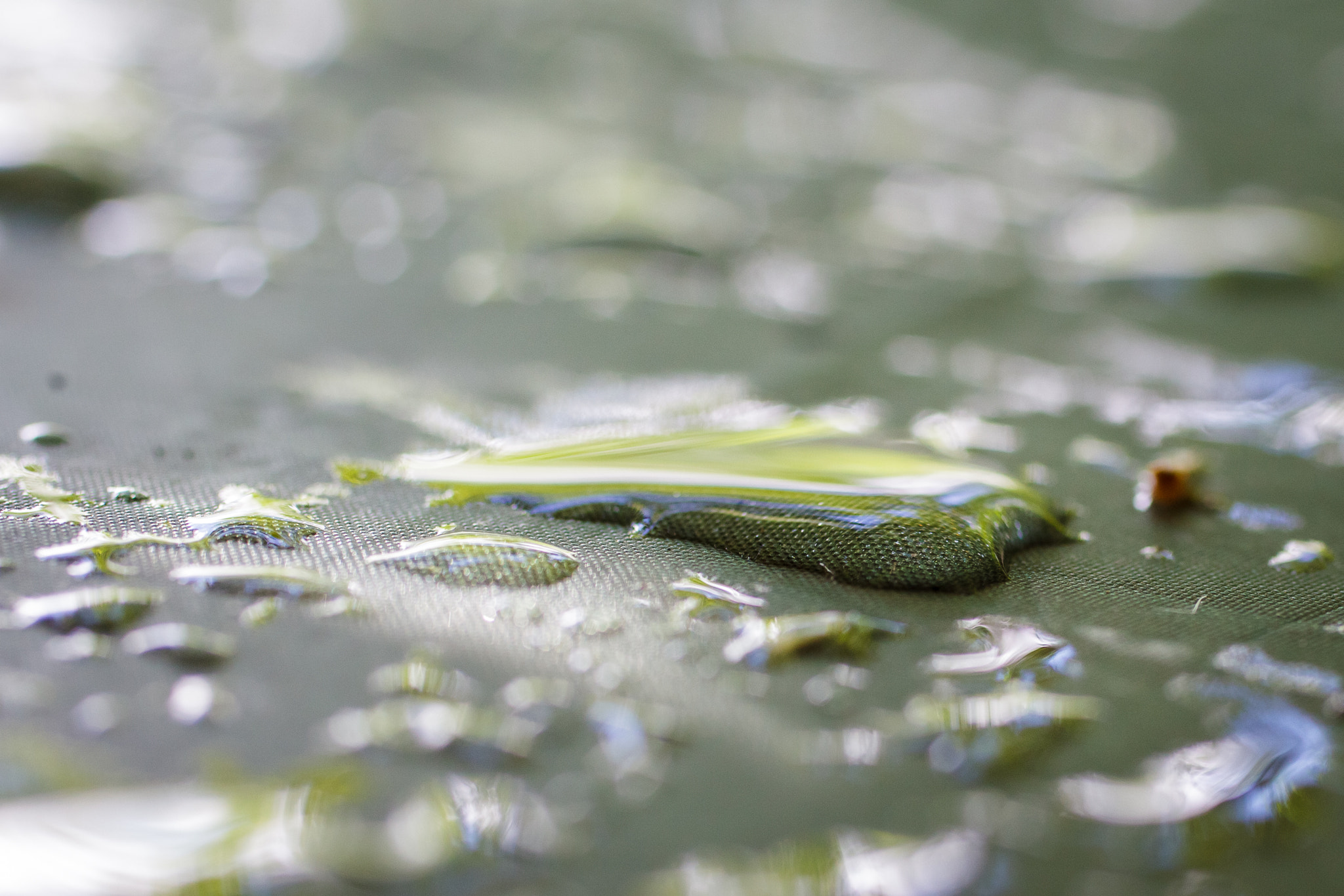 Canon EF 50mm F2.5 Macro sample photo. The rain is over... photography