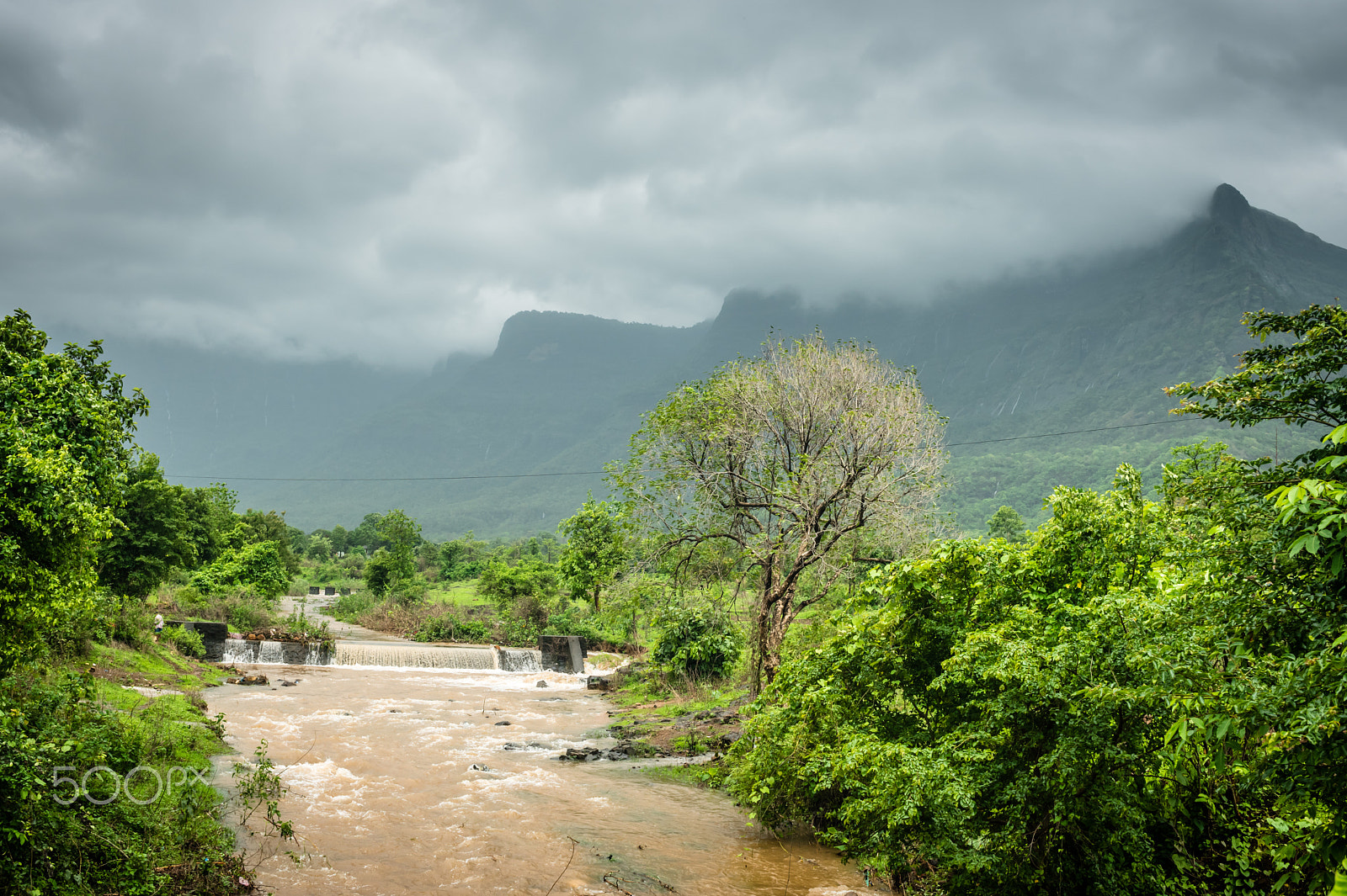 Nikon D750 + AF Zoom-Nikkor 35-70mm f/2.8D sample photo. Malshej ghats photography