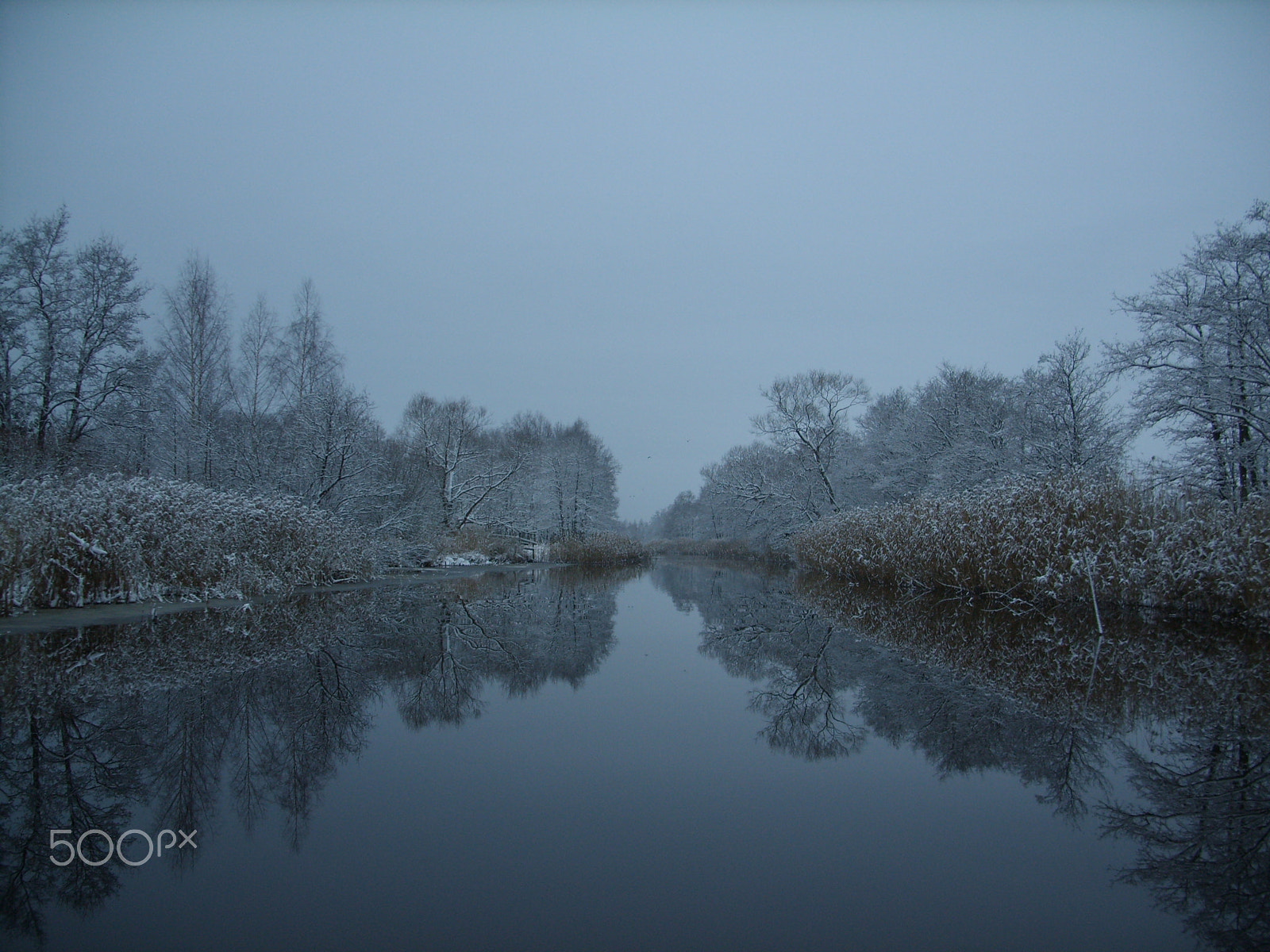 Samsung Digimax L85 sample photo. Winter is coming photography