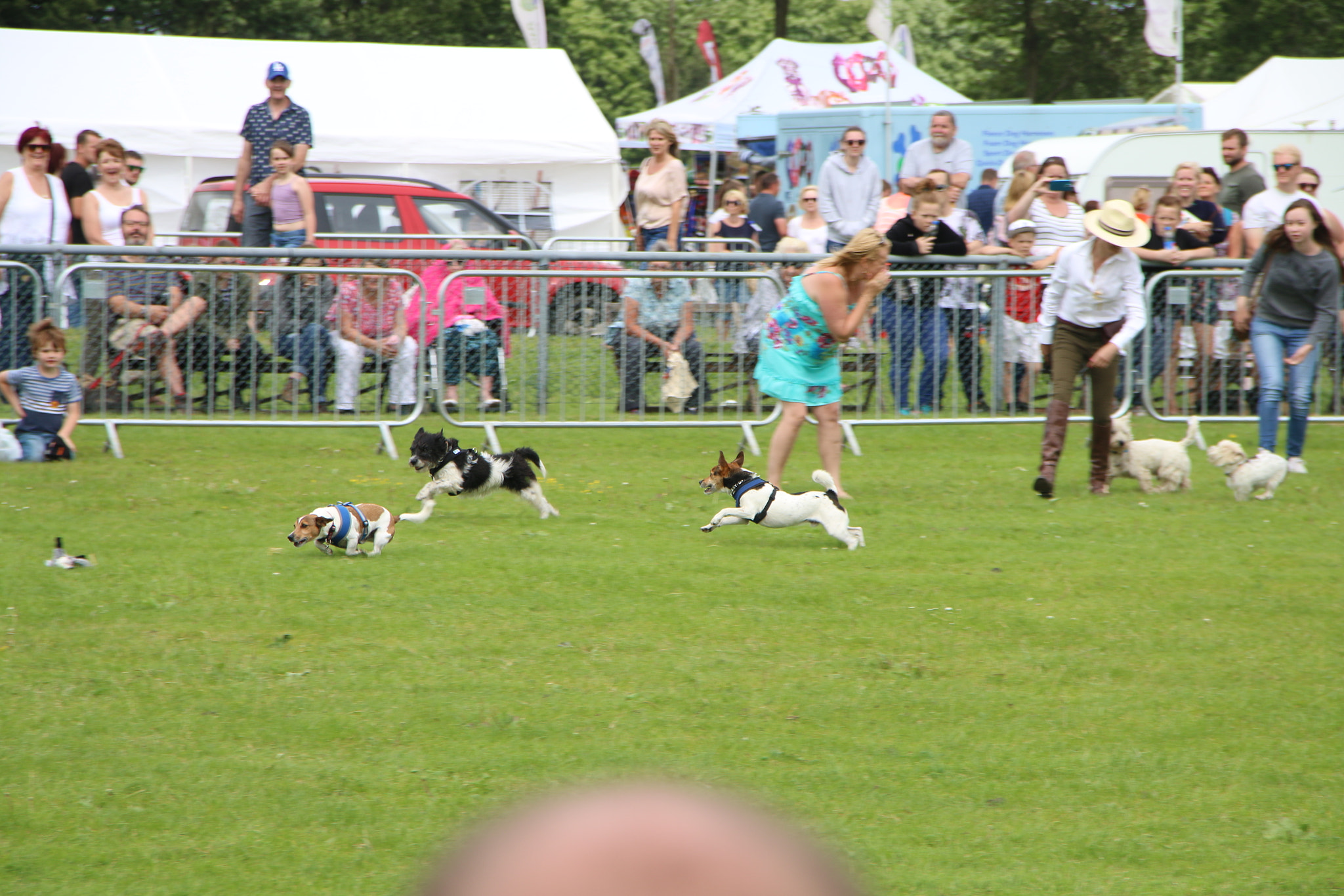 Sigma 18-125mm F3.8-5.6 DC OS HSM sample photo. Kent county show 2016 photography