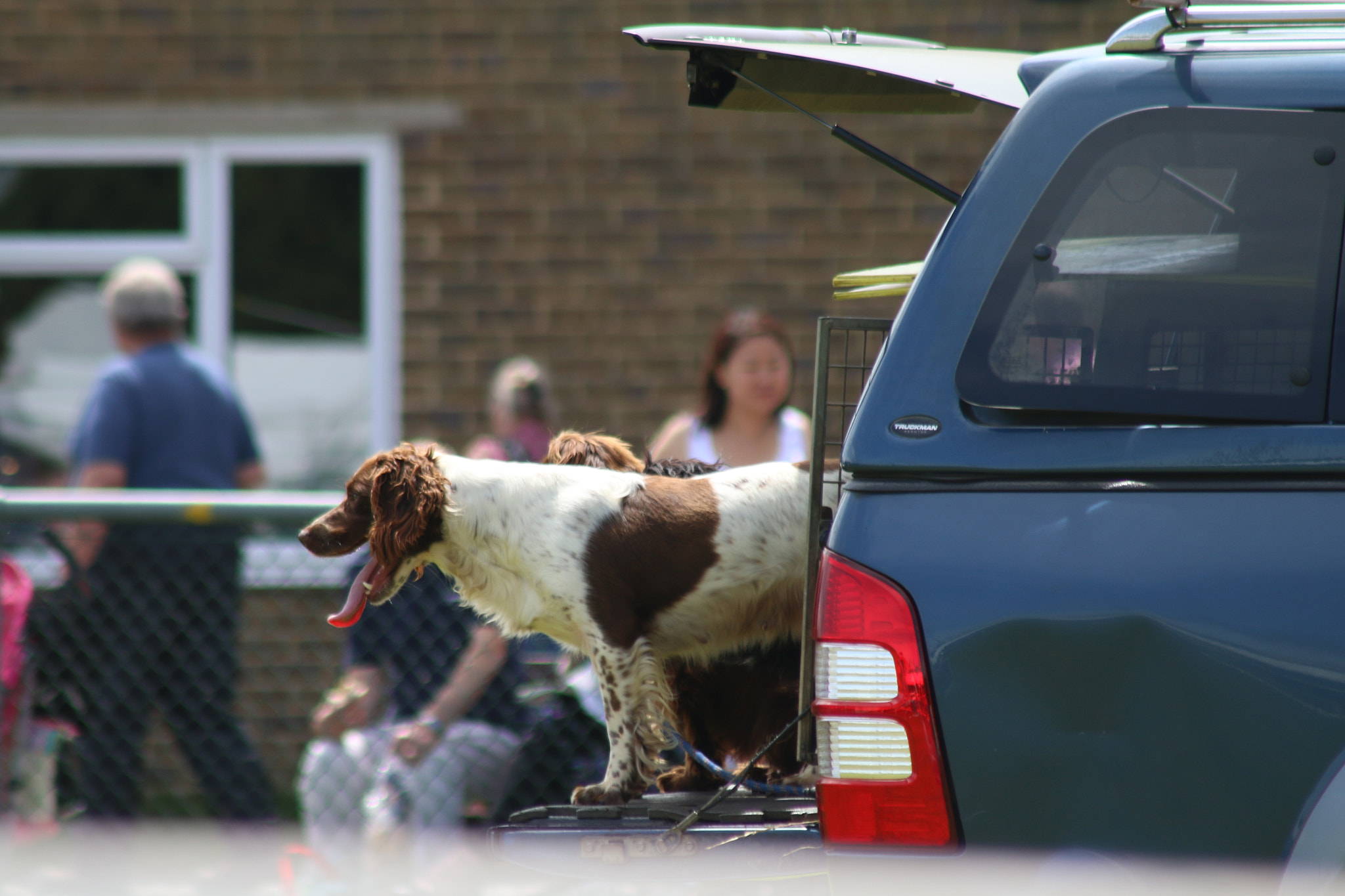 Canon EF 90-300mm F4.5-5.6 sample photo. Kent county show 2016 photography