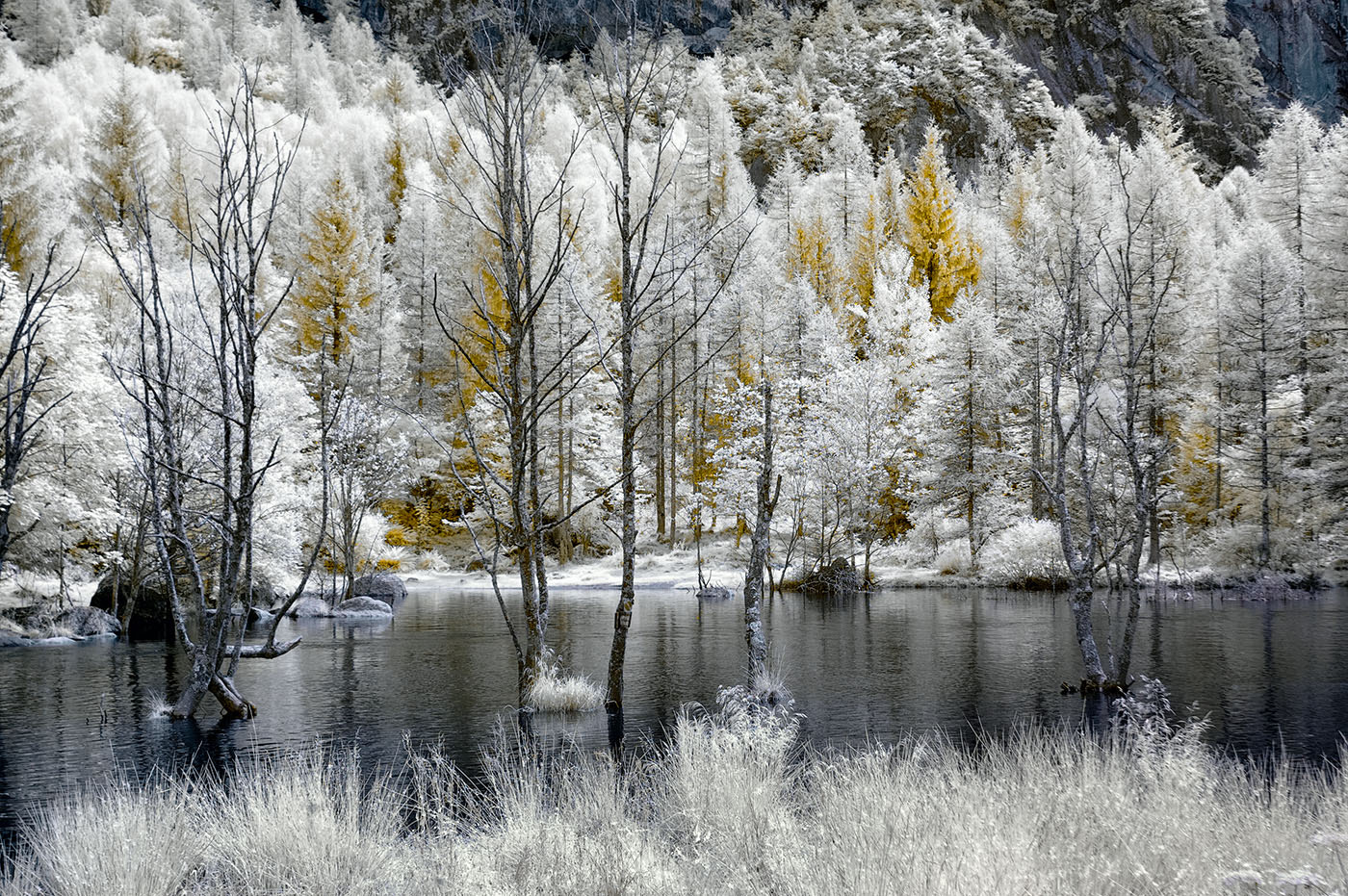 Nikon D70s sample photo. Val di mello n°2 photography