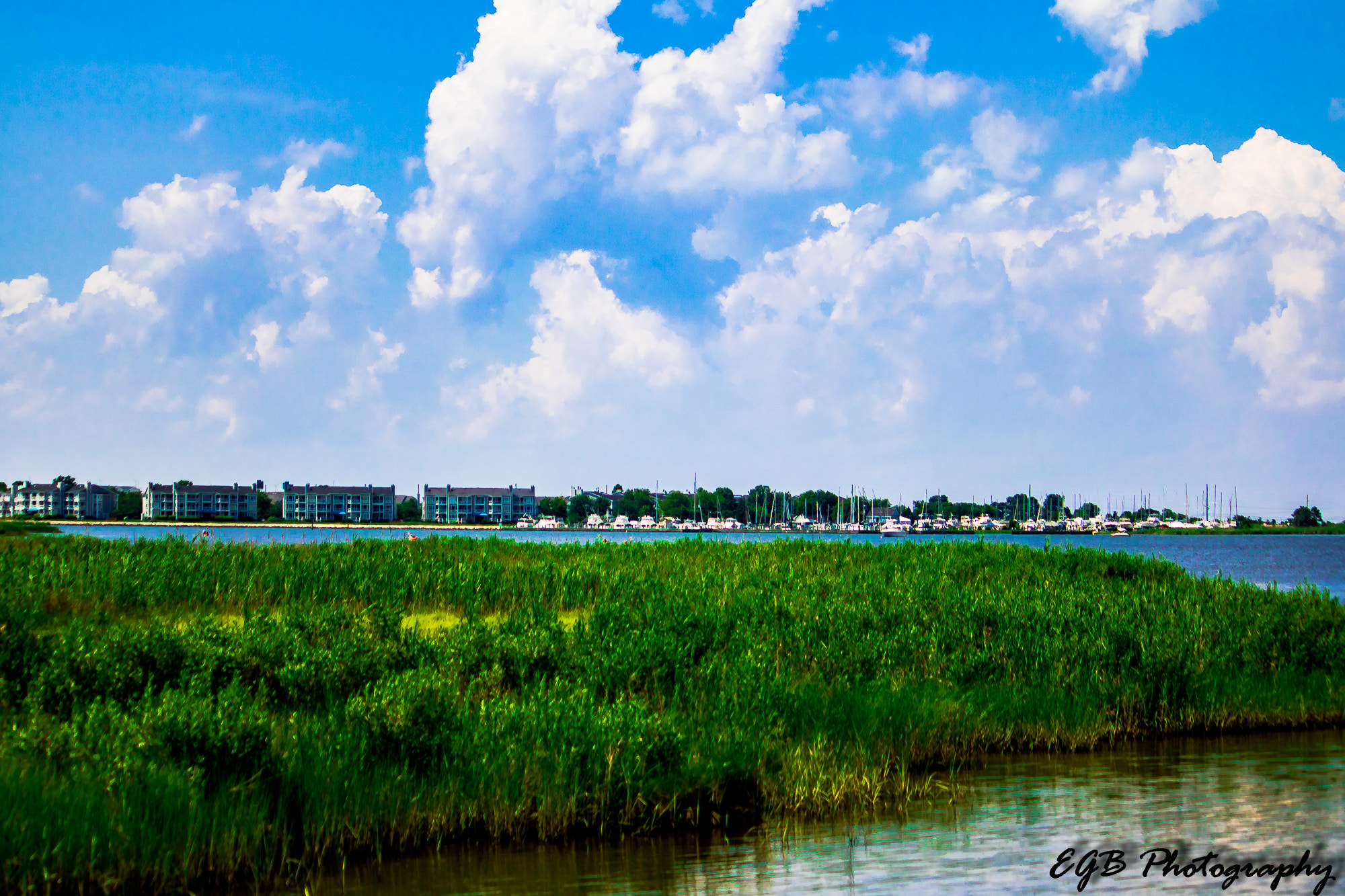 Canon EF-S 55-250mm F4-5.6 IS sample photo. Waterfront photography