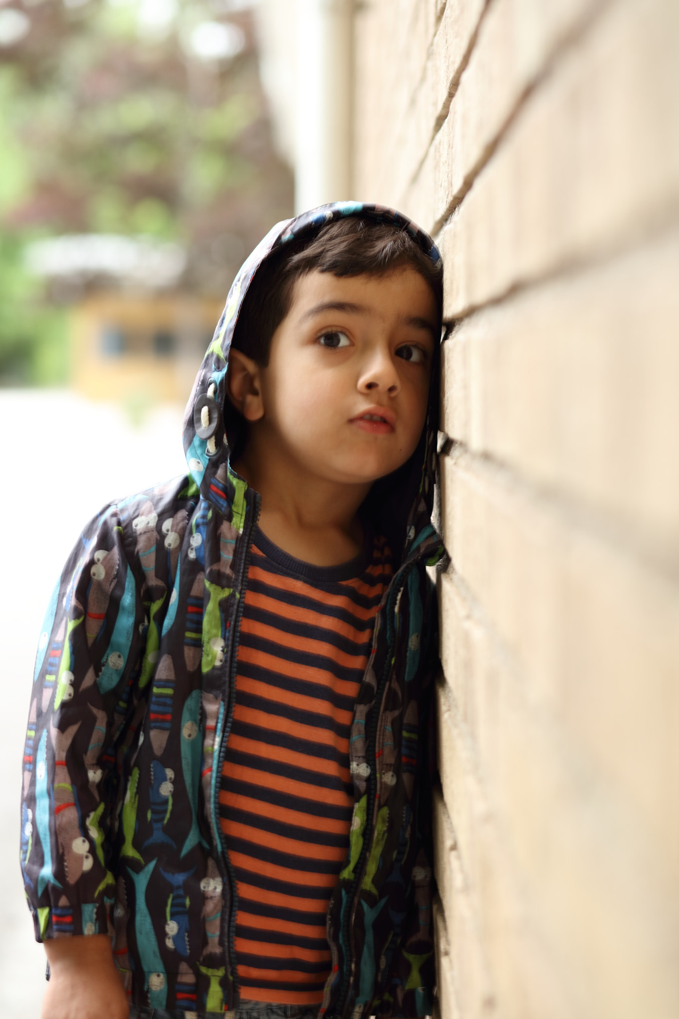 Canon EOS 5DS + Canon EF 85mm F1.8 USM sample photo. 073a9650.jpg photography