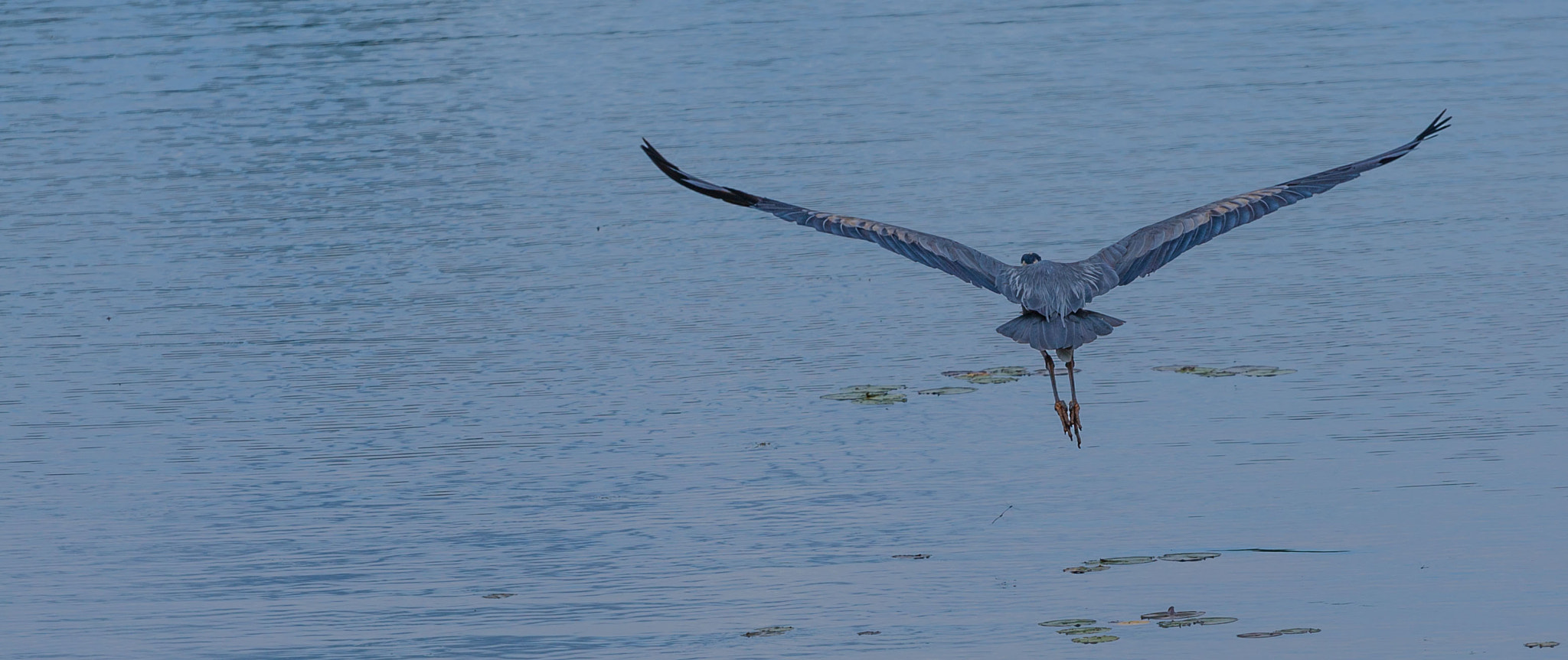Canon EOS-1D Mark III sample photo. Exiting photography