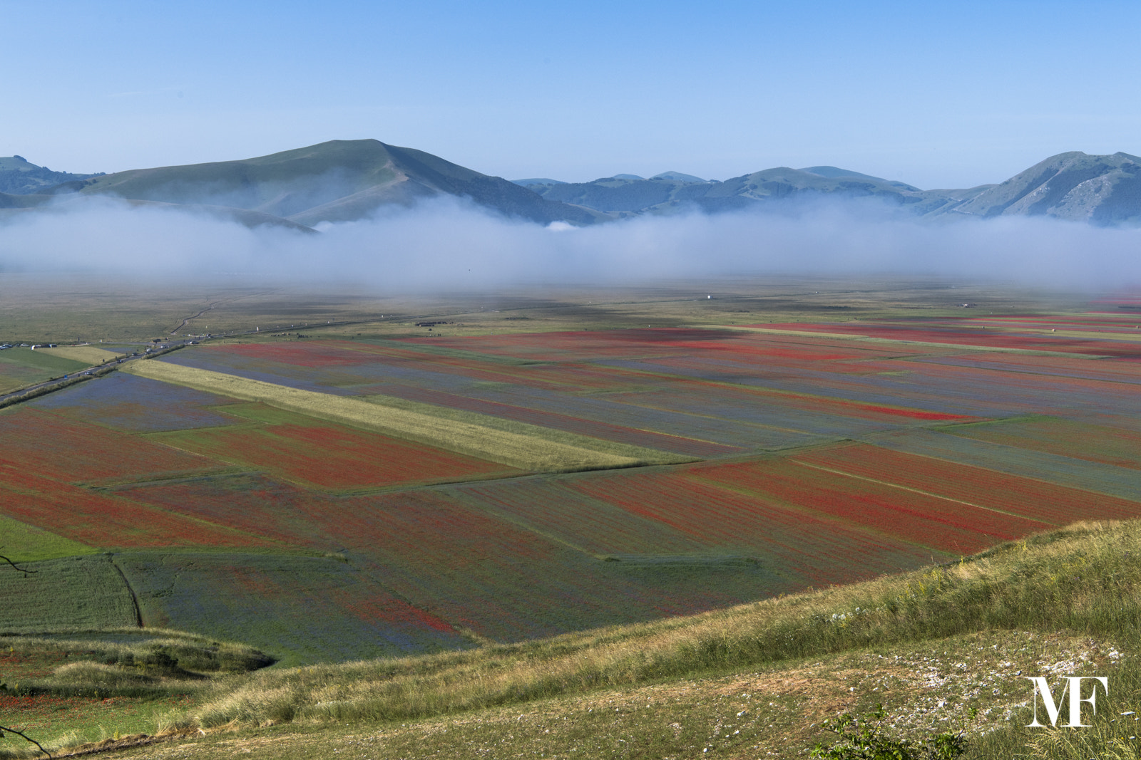 Nikon AF-S Nikkor 24-70mm F2.8E ED VR sample photo. Castelluccio luglio 2016 c photography