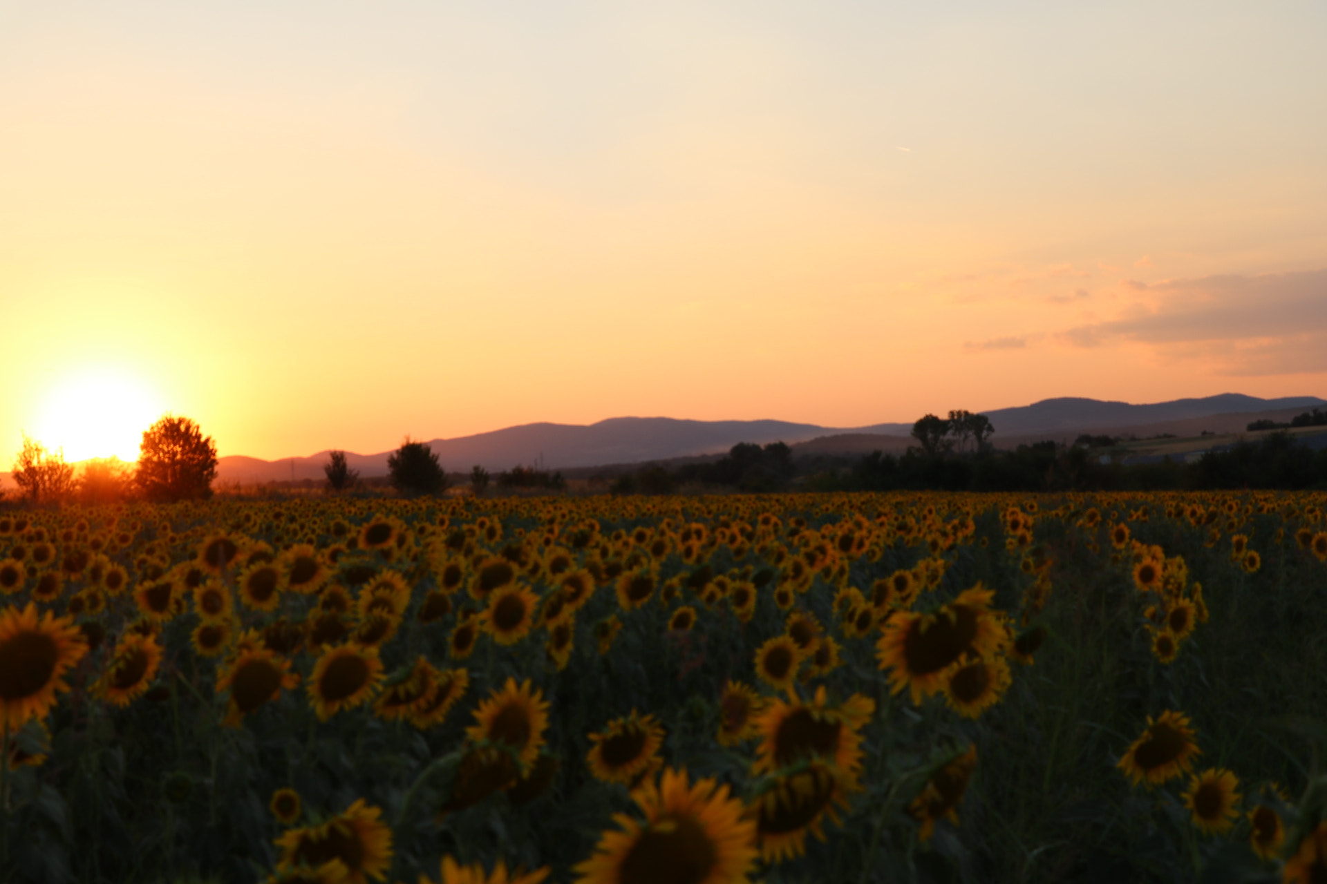 Canon EOS 750D (EOS Rebel T6i / EOS Kiss X8i) sample photo. Sunset  photography