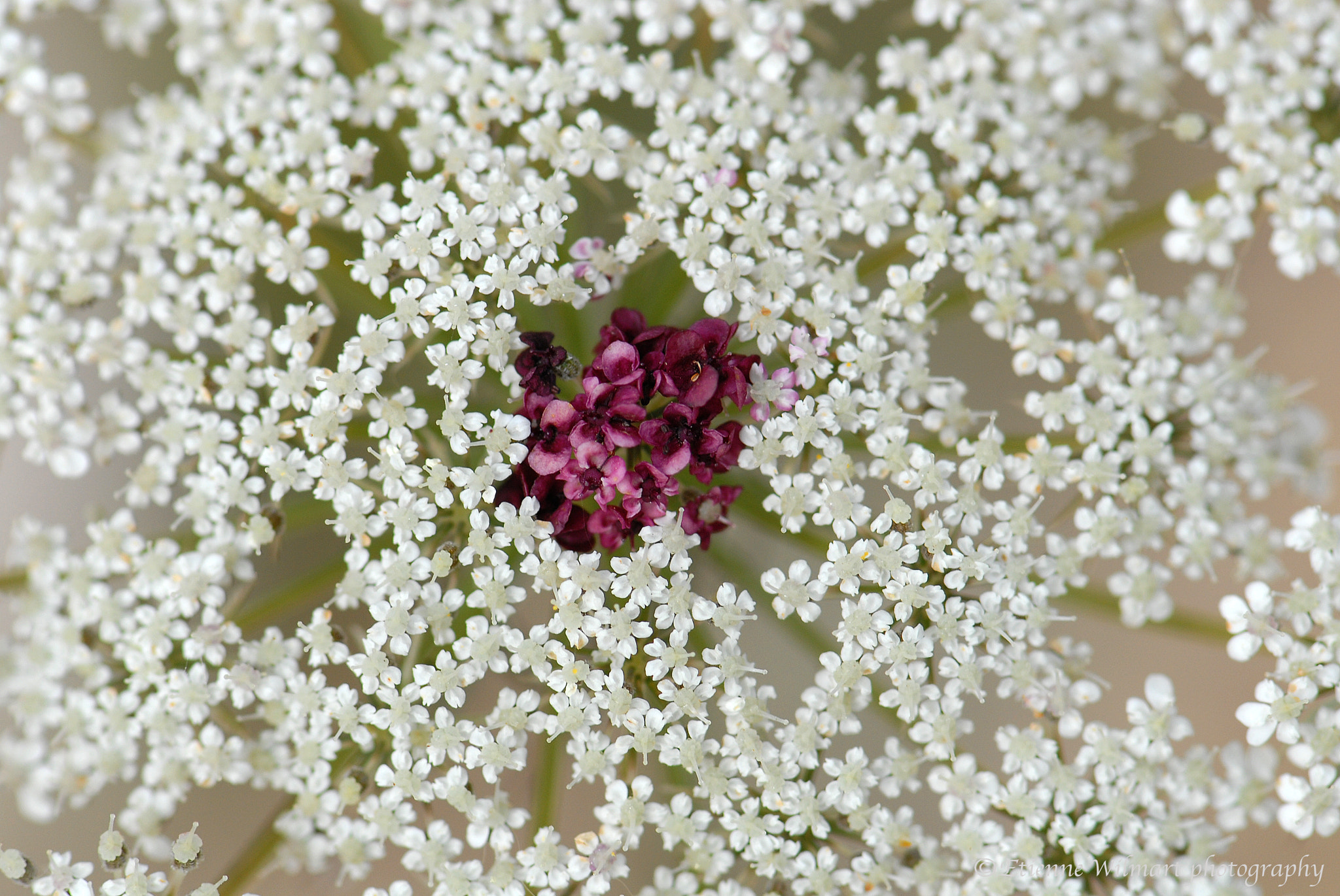 Nikon D200 sample photo