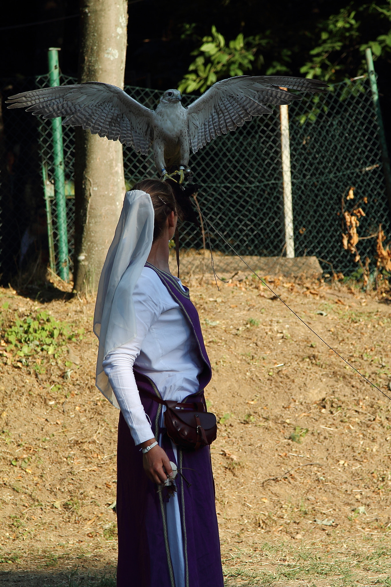 Canon EOS 1100D (EOS Rebel T3 / EOS Kiss X50) + Canon EF 24-105mm F4L IS USM sample photo. (the) lady (and the) hawk photography
