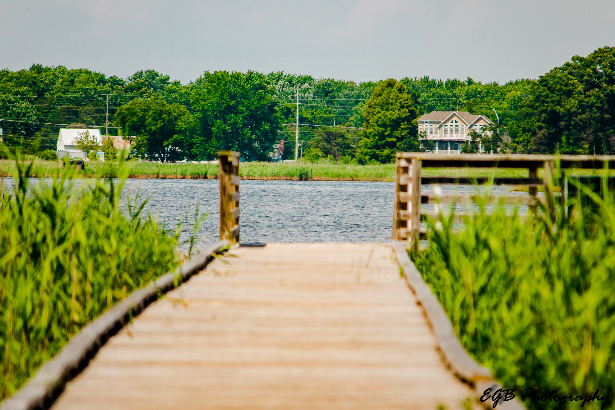Canon EF-S 55-250mm F4-5.6 IS sample photo. Relax photography