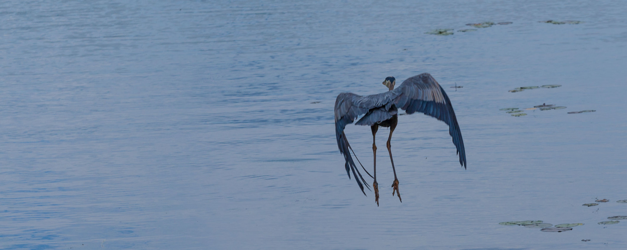 Canon EOS-1D Mark III sample photo. Dangling feet photography