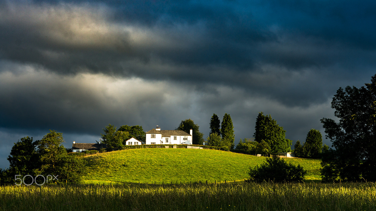 Sony Alpha NEX-6 + E 50mm F1.8 OSS sample photo. The whitehouse photography