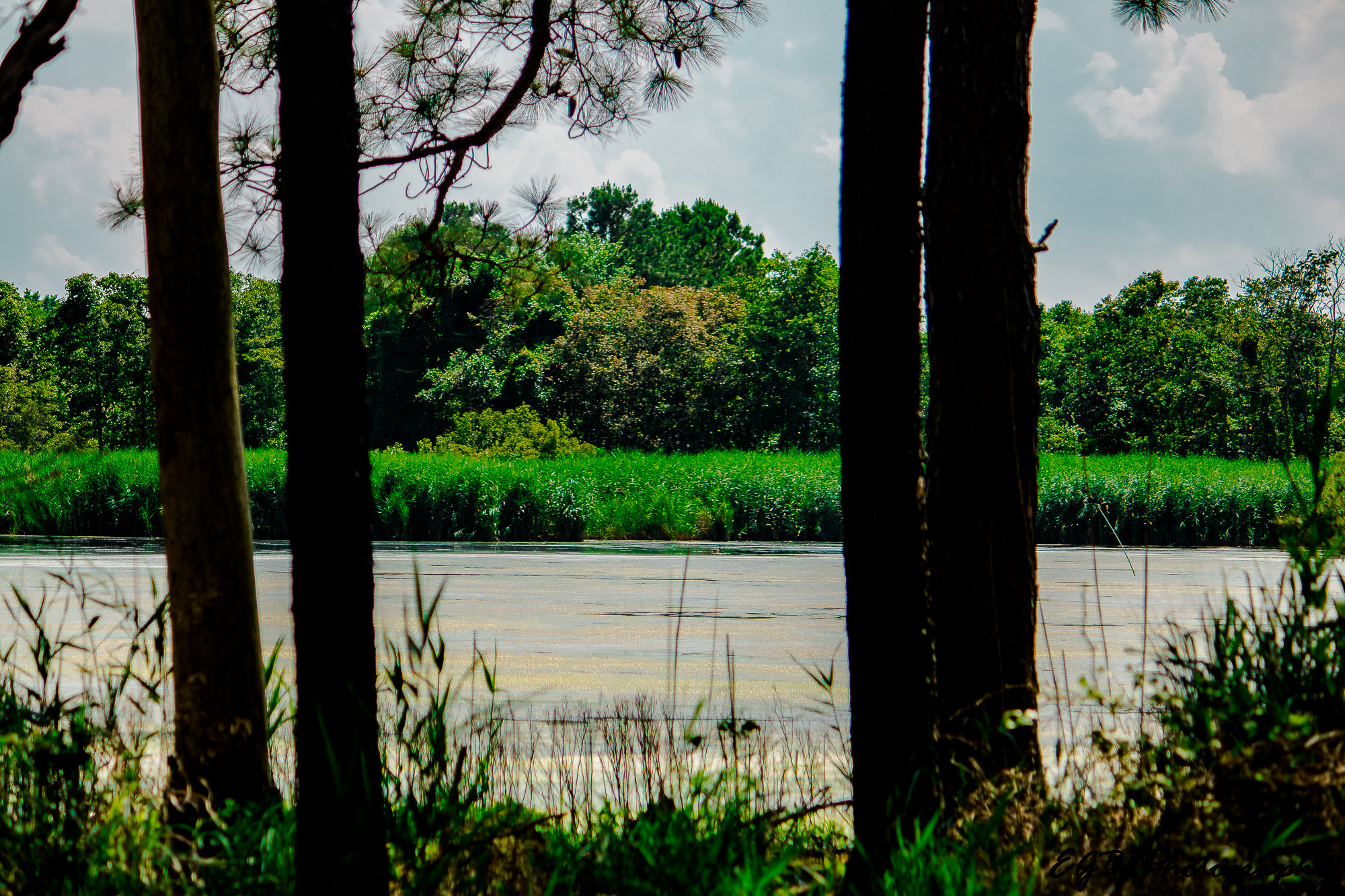 Canon EF-S 55-250mm F4-5.6 IS sample photo. Peaceful photography
