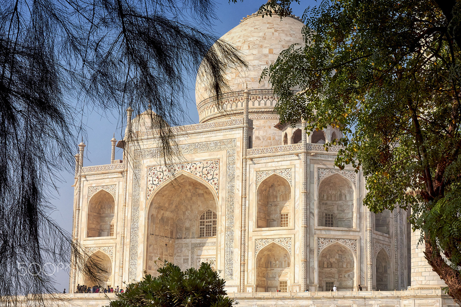 Sony SLT-A77 sample photo. Tajmahal photography