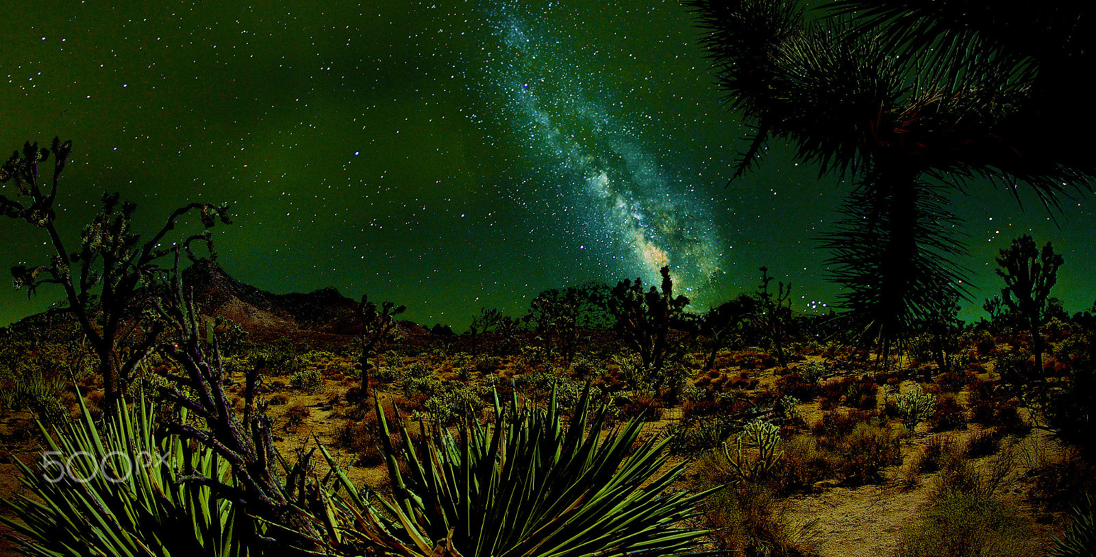 Canon EF 8-15mm F4L Fisheye USM sample photo. Dessert nights photography