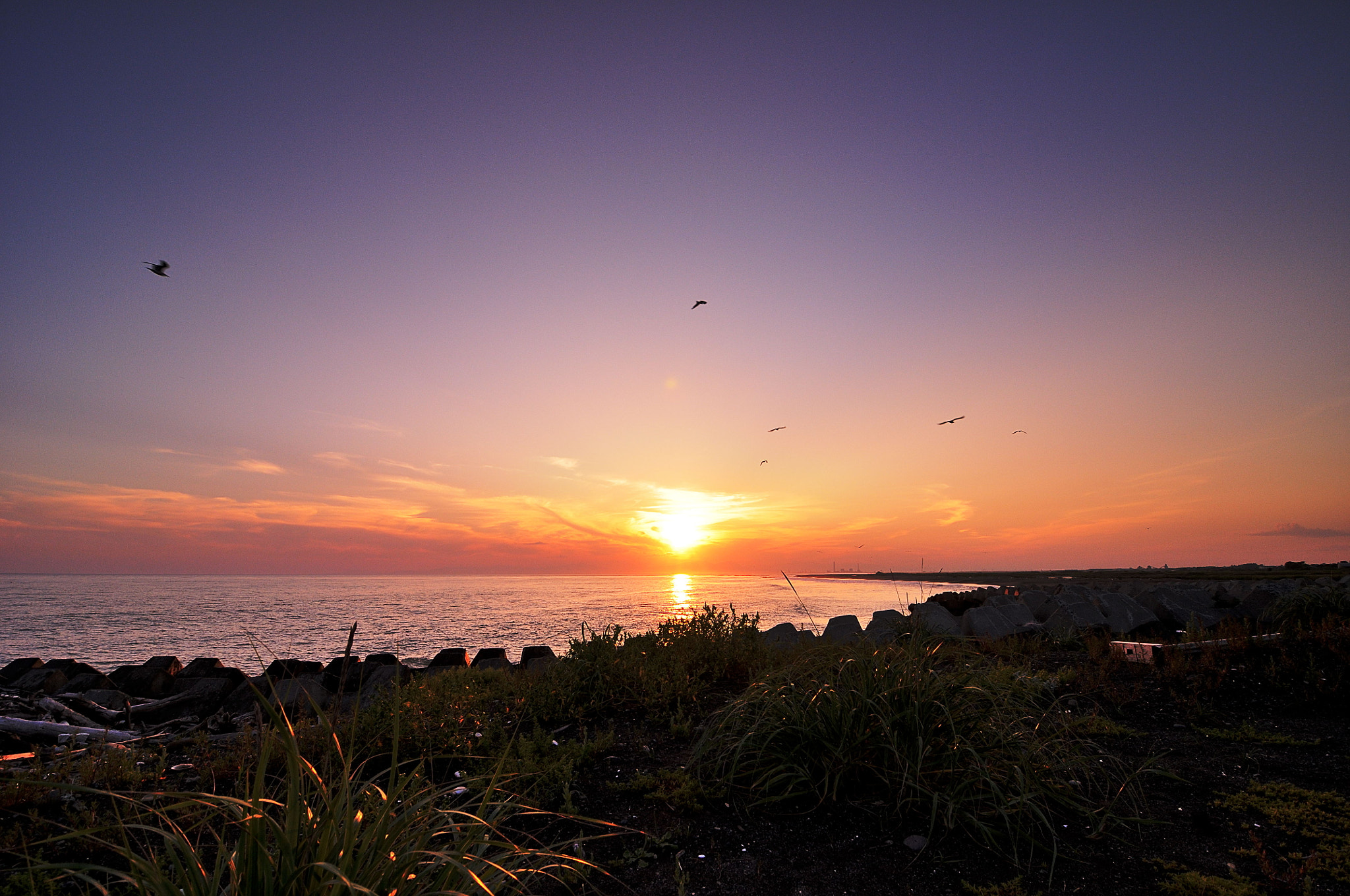 Nikon D300S sample photo. Go home photography