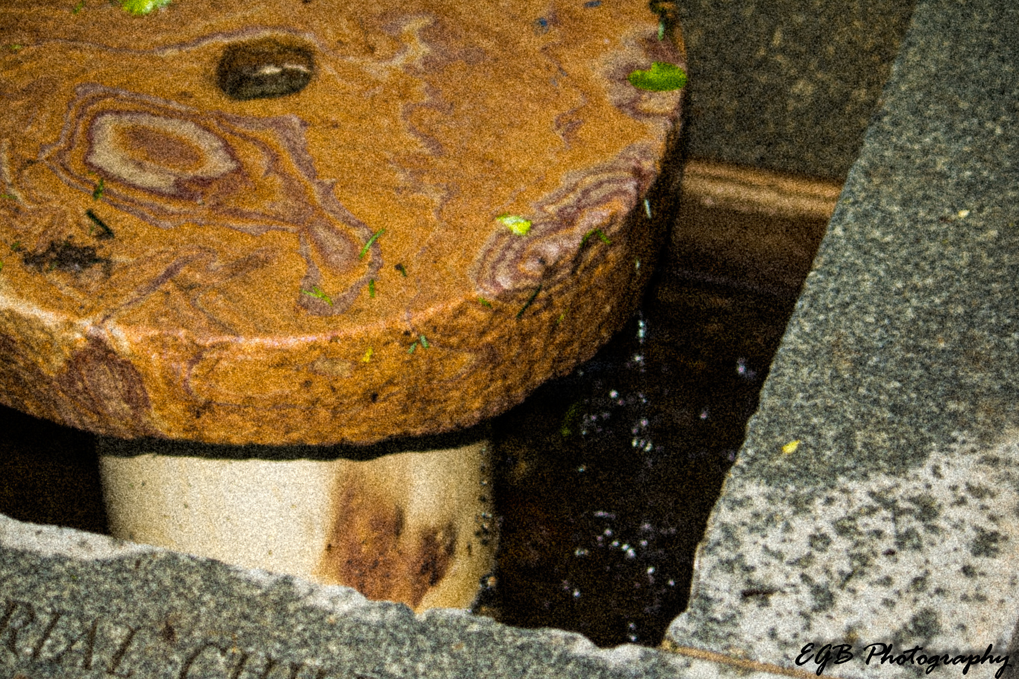Canon EF-S 55-250mm F4-5.6 IS sample photo. Fountain photography
